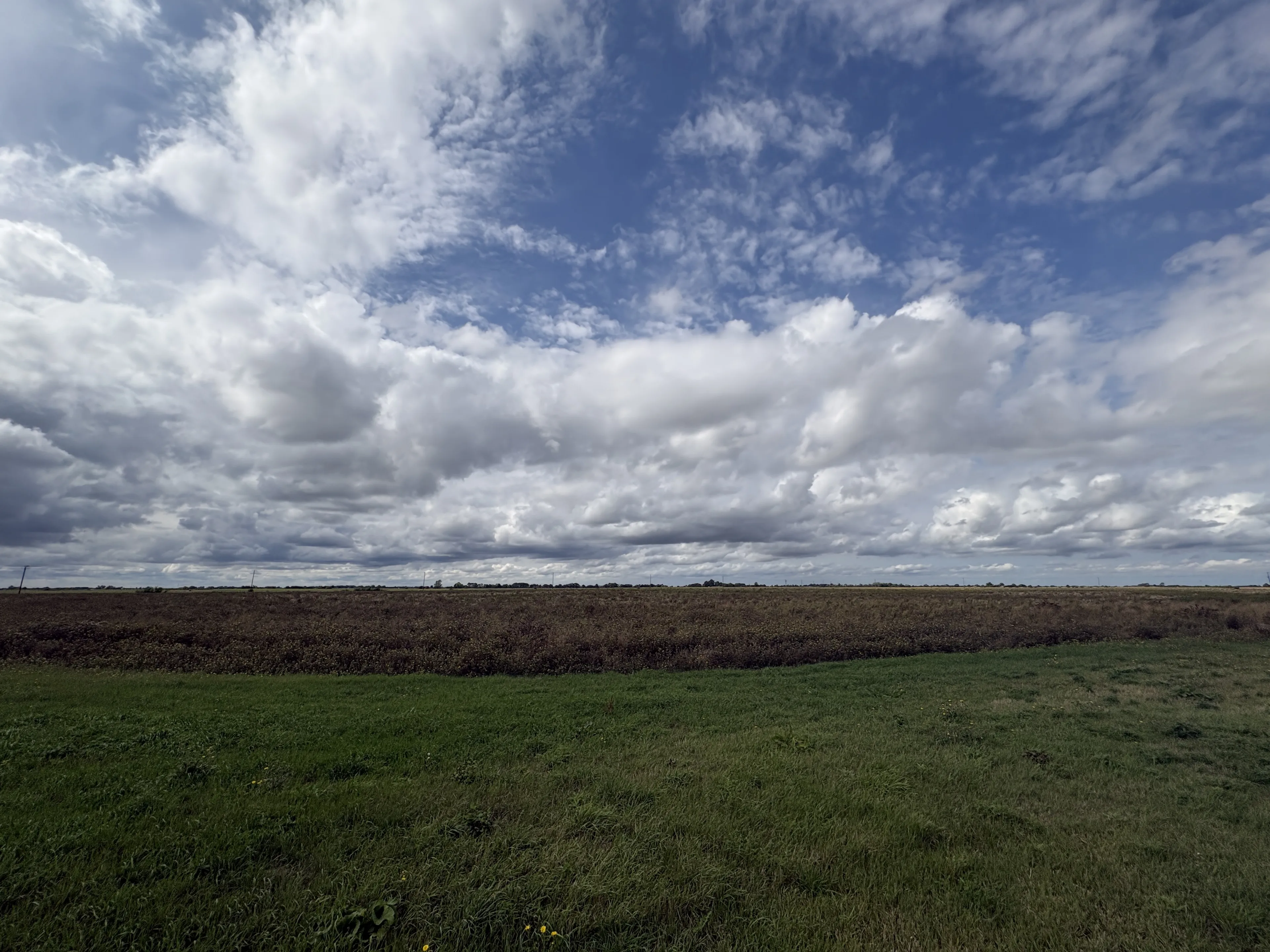 Property at FODDER FEN, MARCH, CAMBRIDGESHIRE