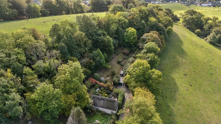 Property Image 18