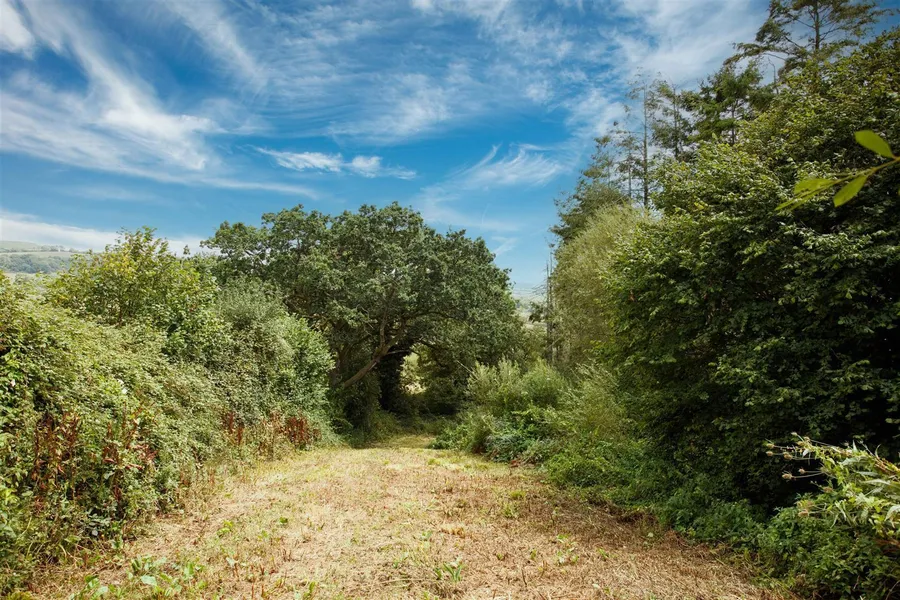 Property Image 44