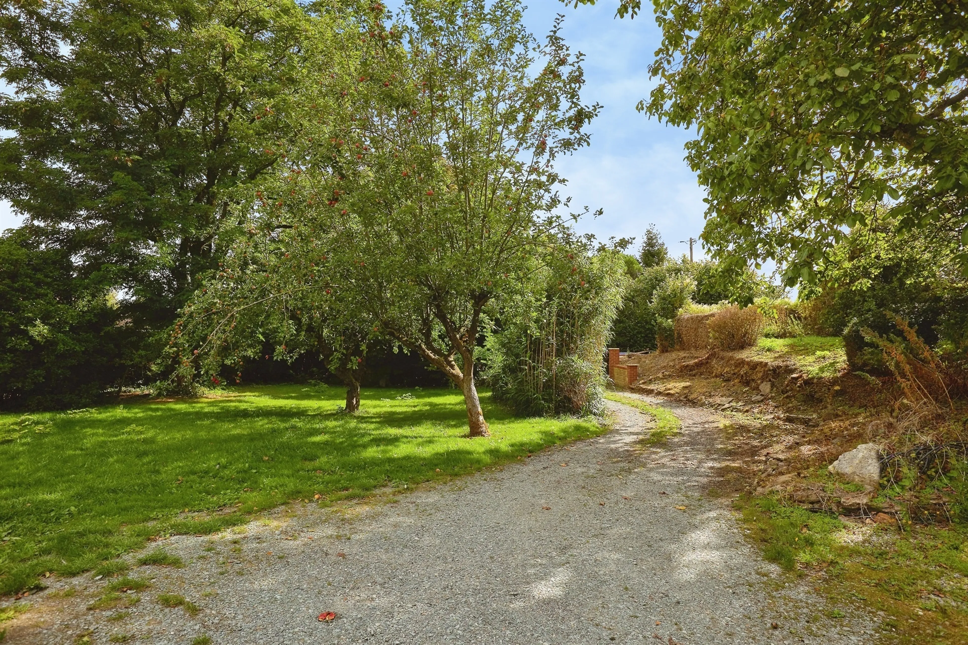 Property photo 13
