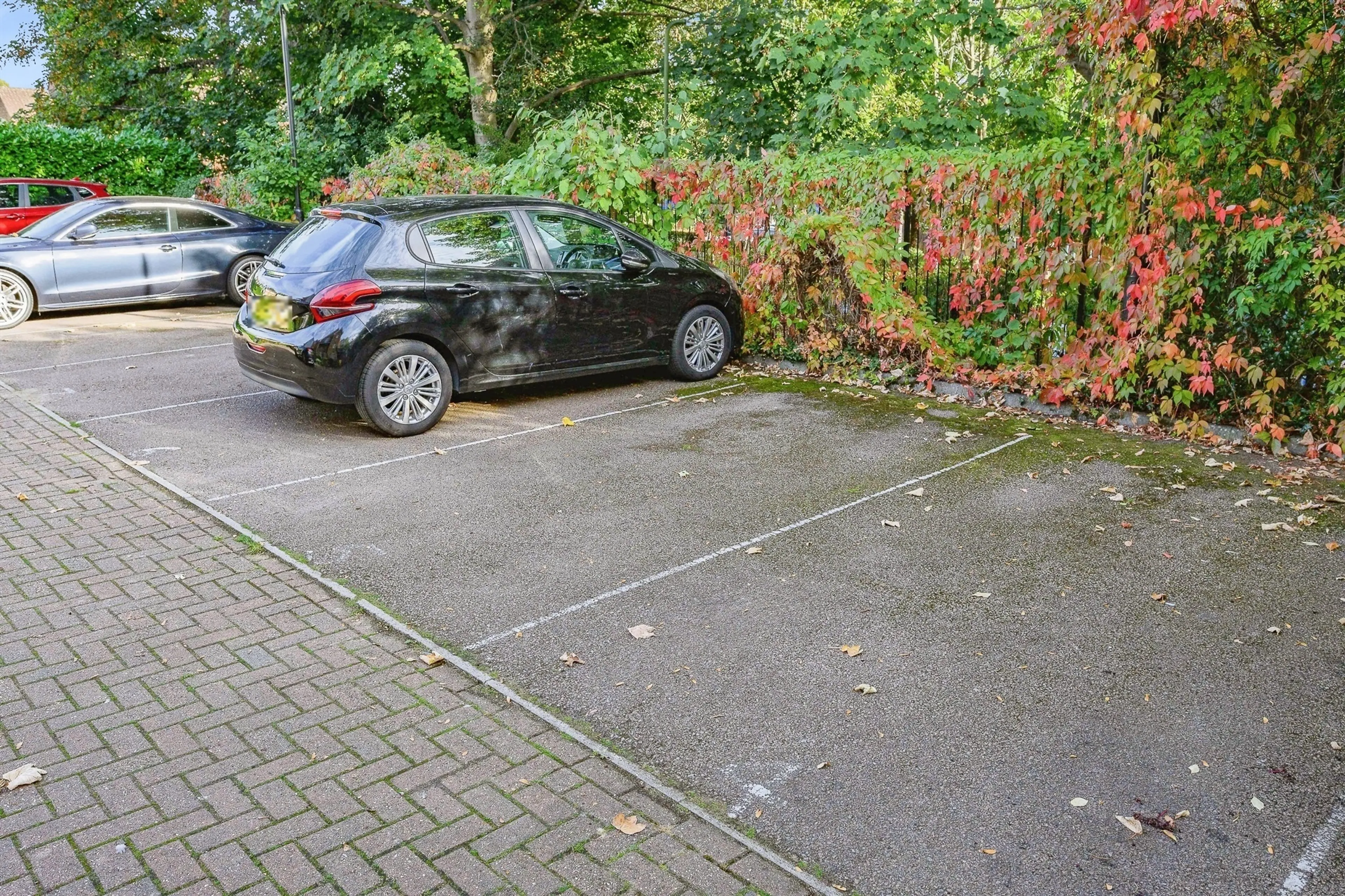 Property photo 12