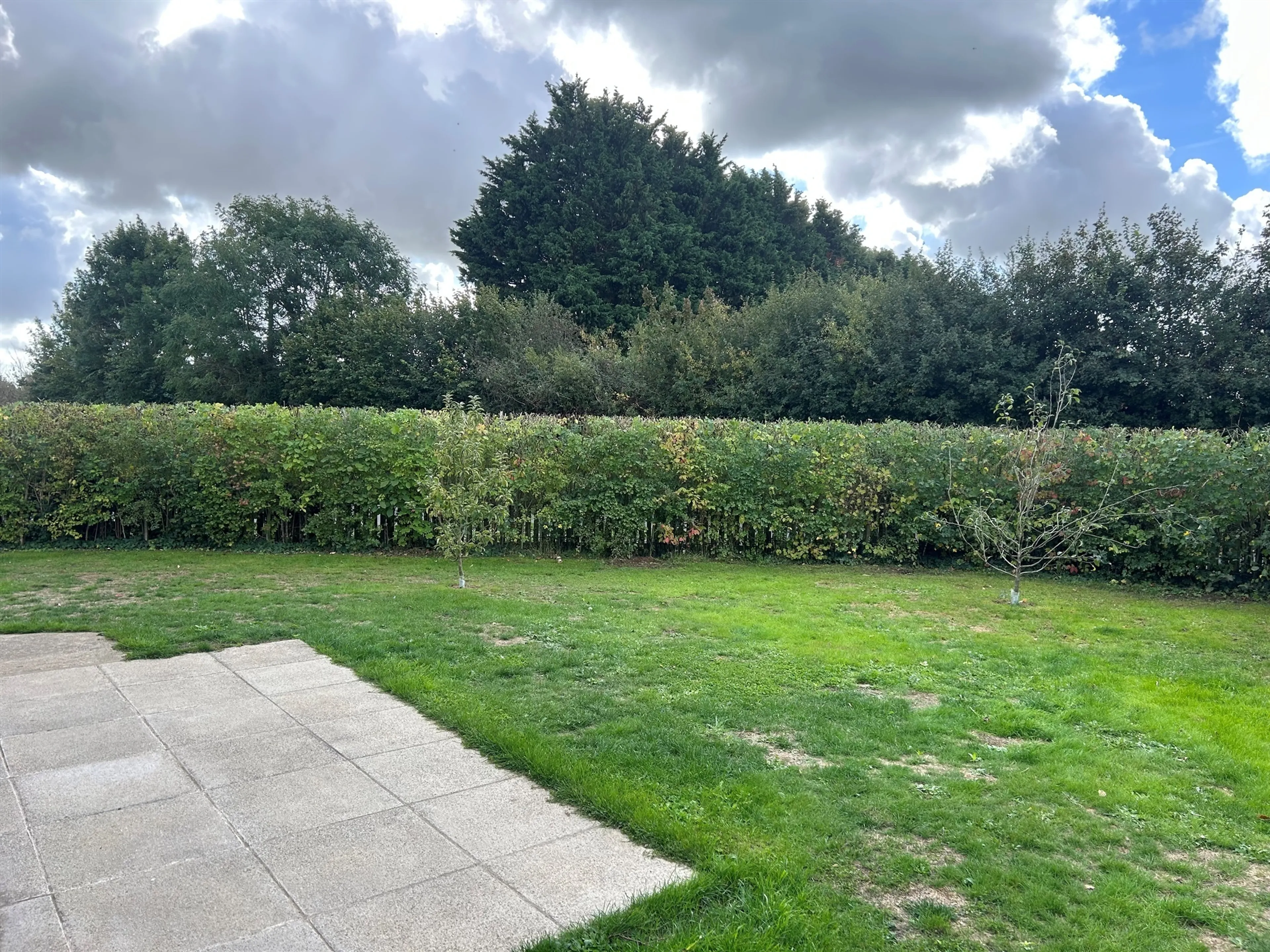 Property photo 22