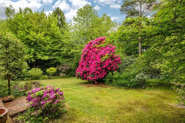 Sheephouse Lane, Abinger Common, RH5 photo 12