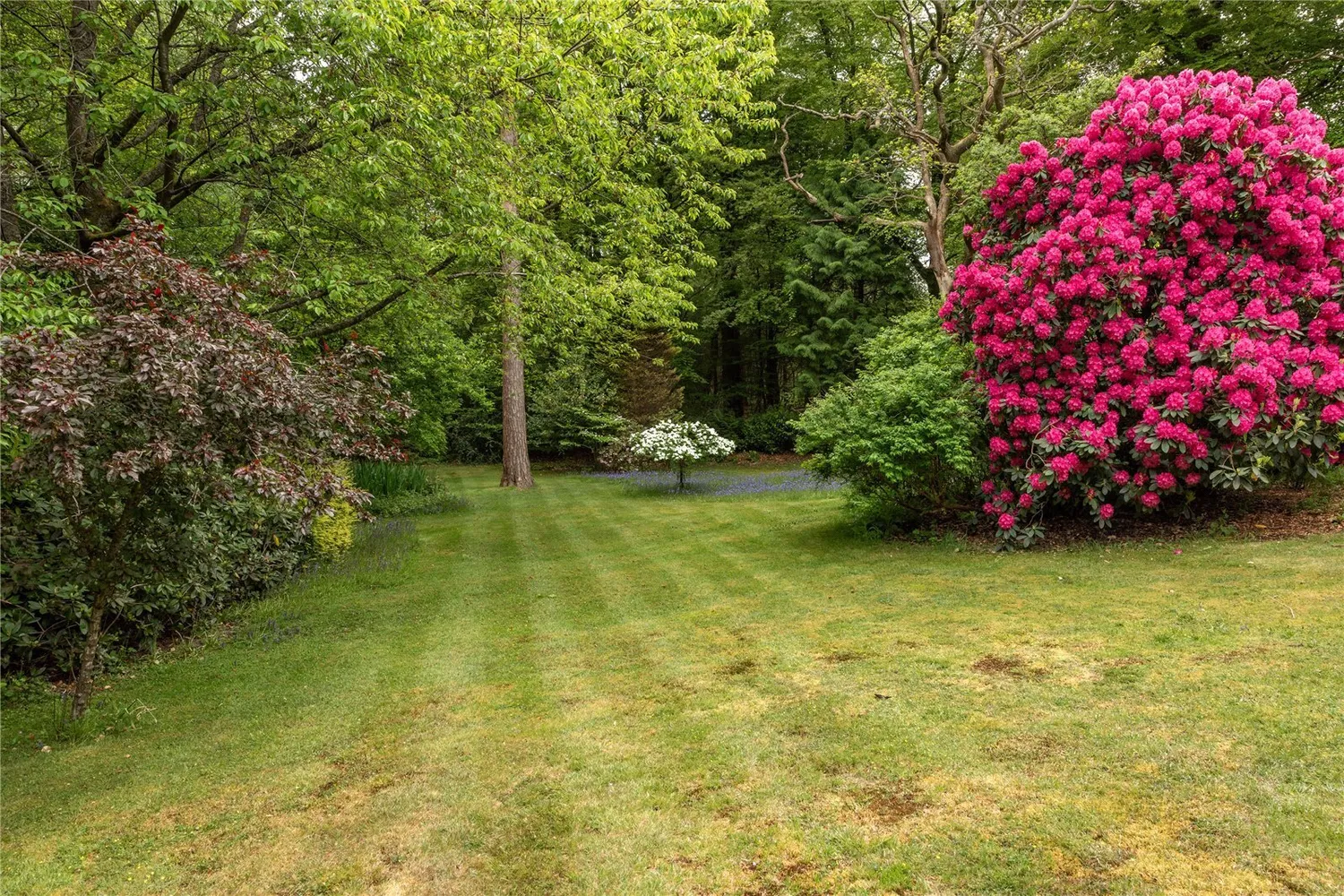 Sheephouse Lane, Abinger Common, RH5 photo 15
