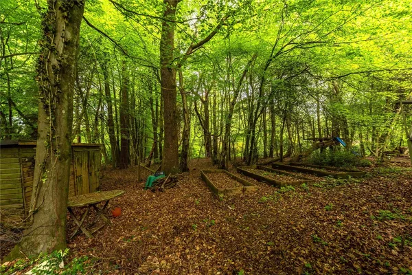 Sheephouse Lane, Abinger Common, RH5 photo 23