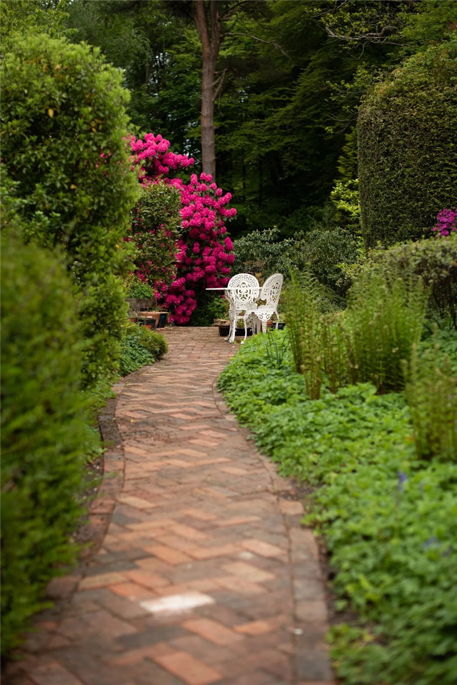 Sheephouse Lane, Abinger Common, RH5 photo 24