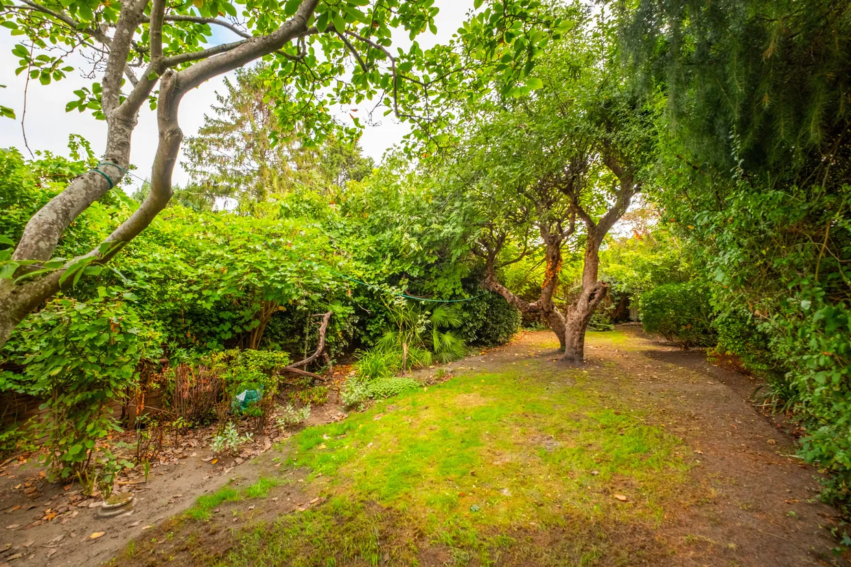Park Road, Kingston Upon Thames, KT2 photo 2