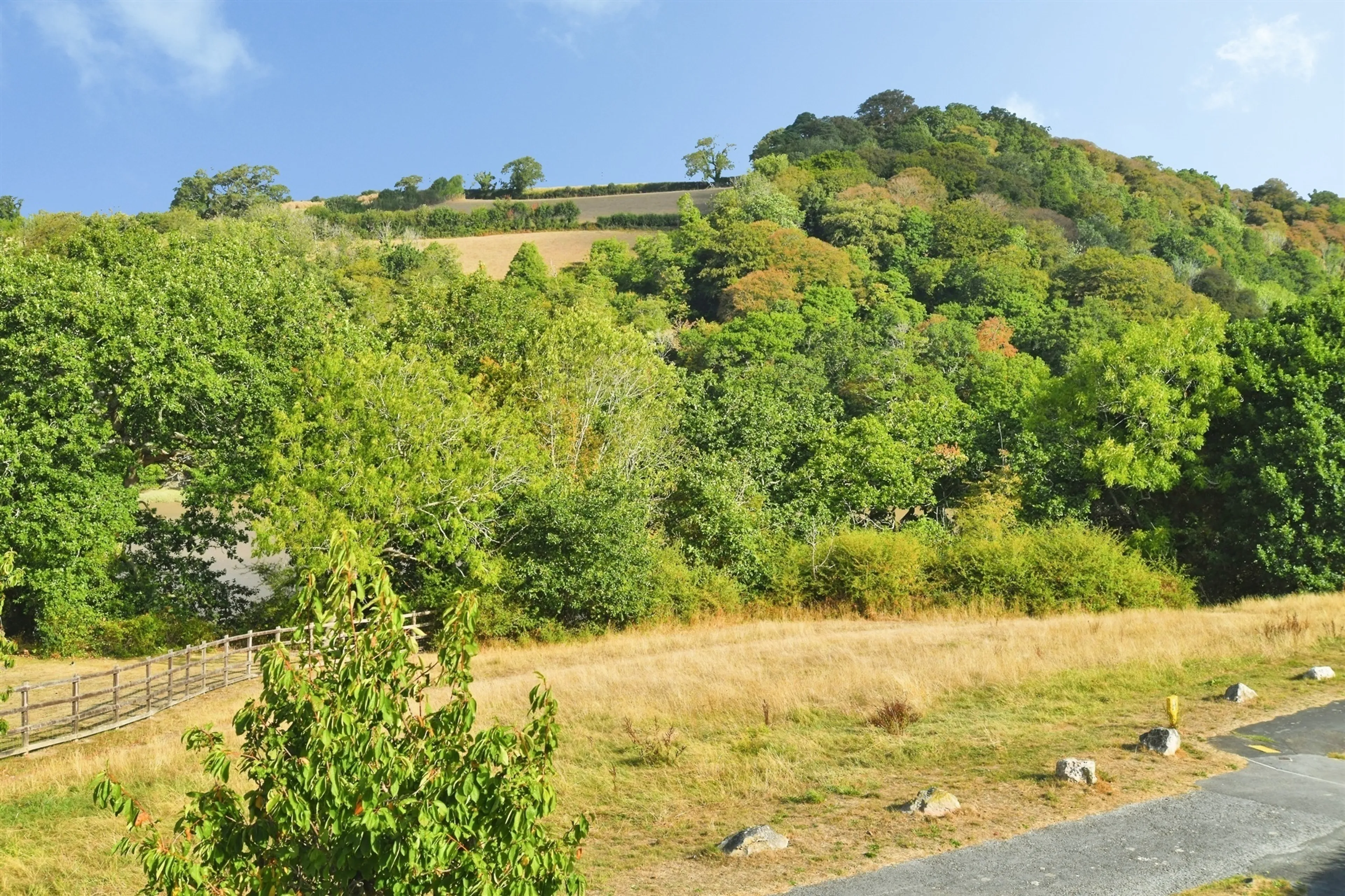 Property photo 19
