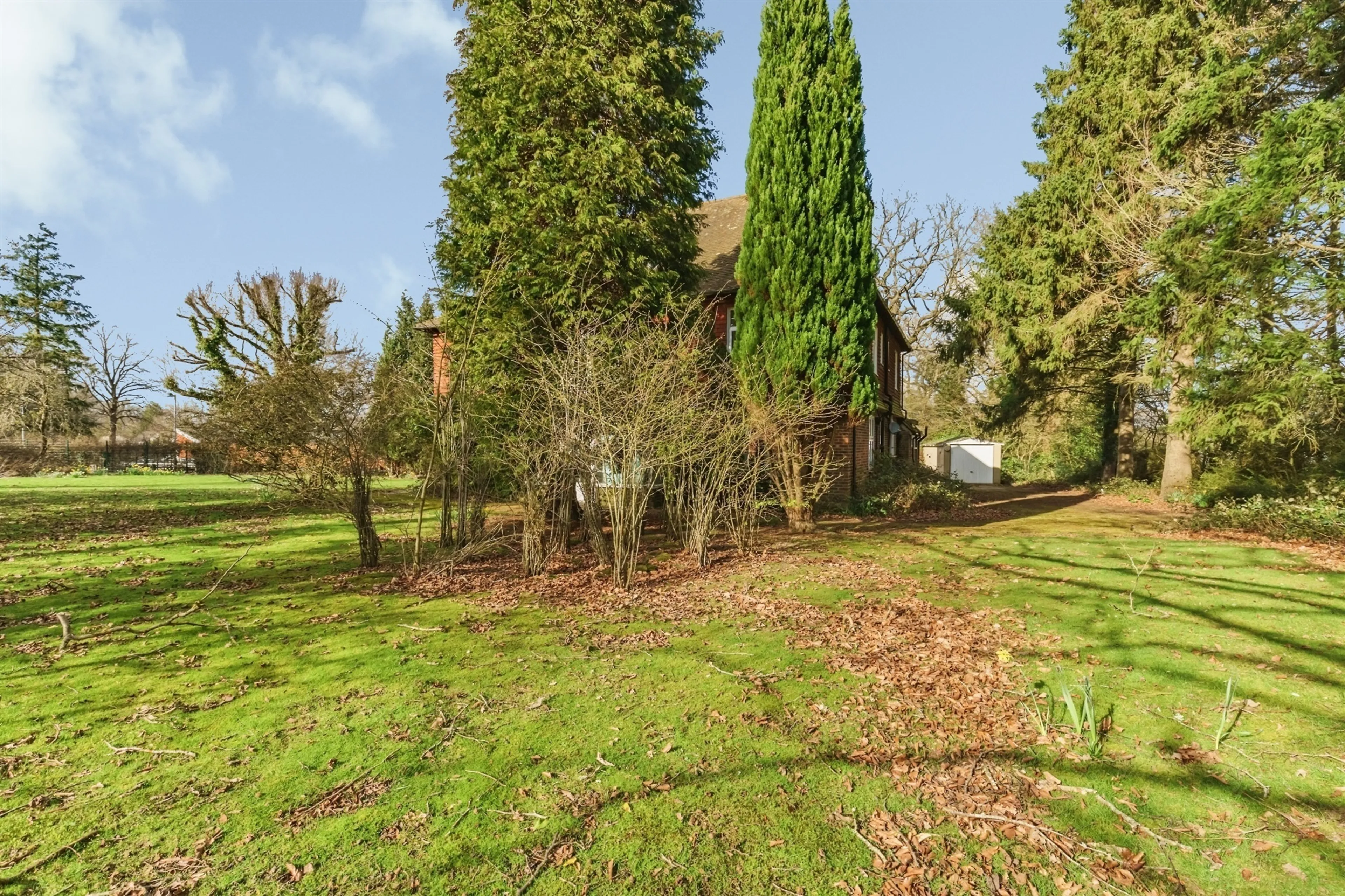 Property photo 17