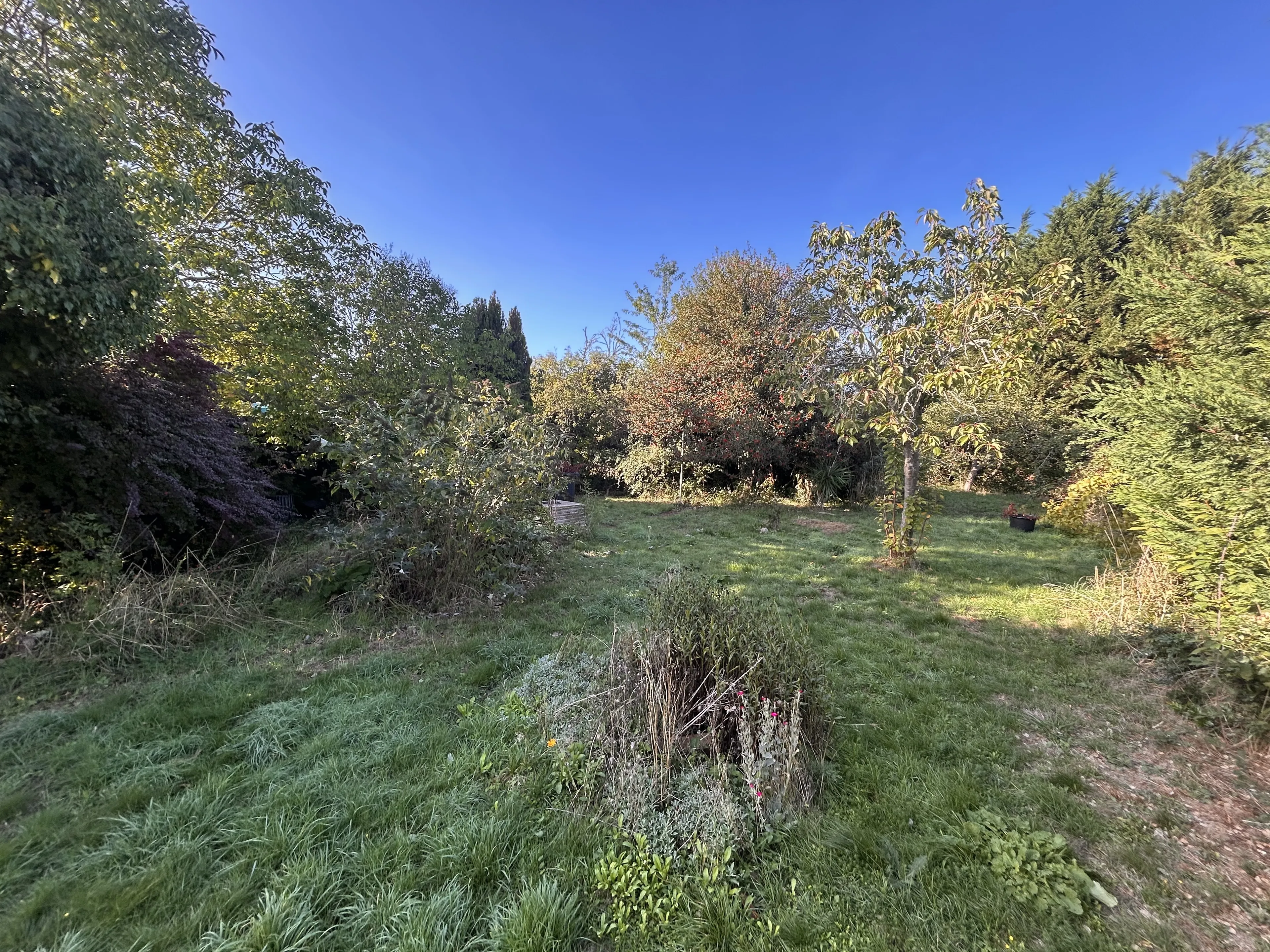 Property photo 12