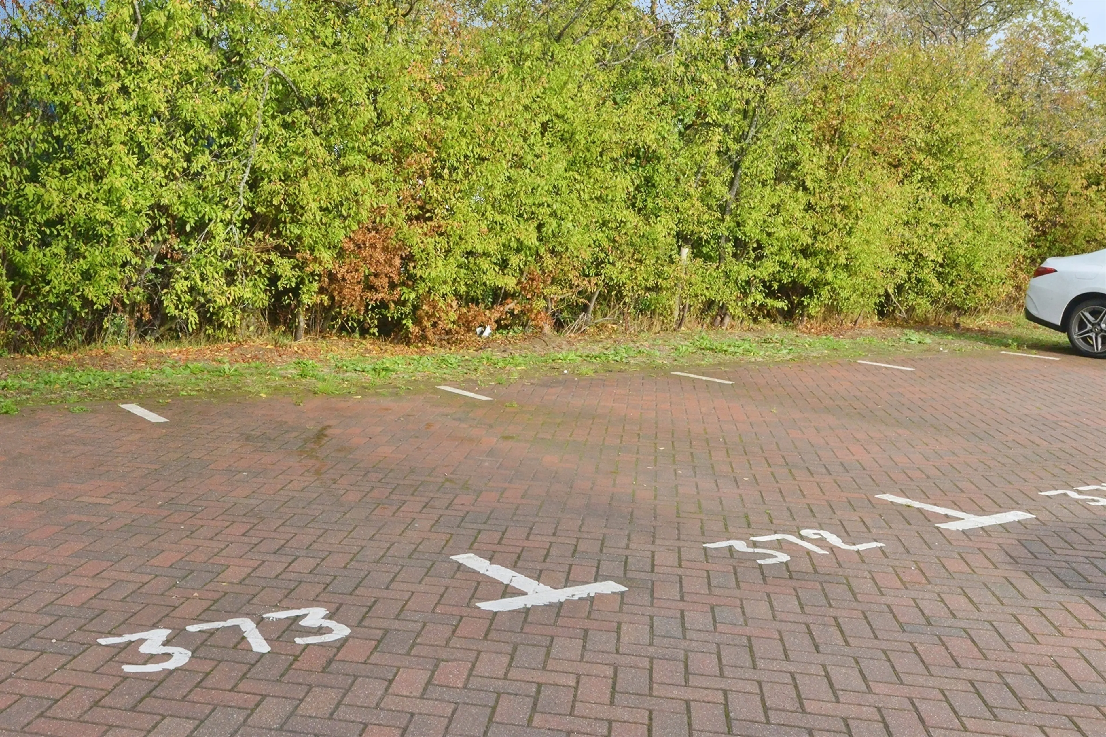 Property photo 12