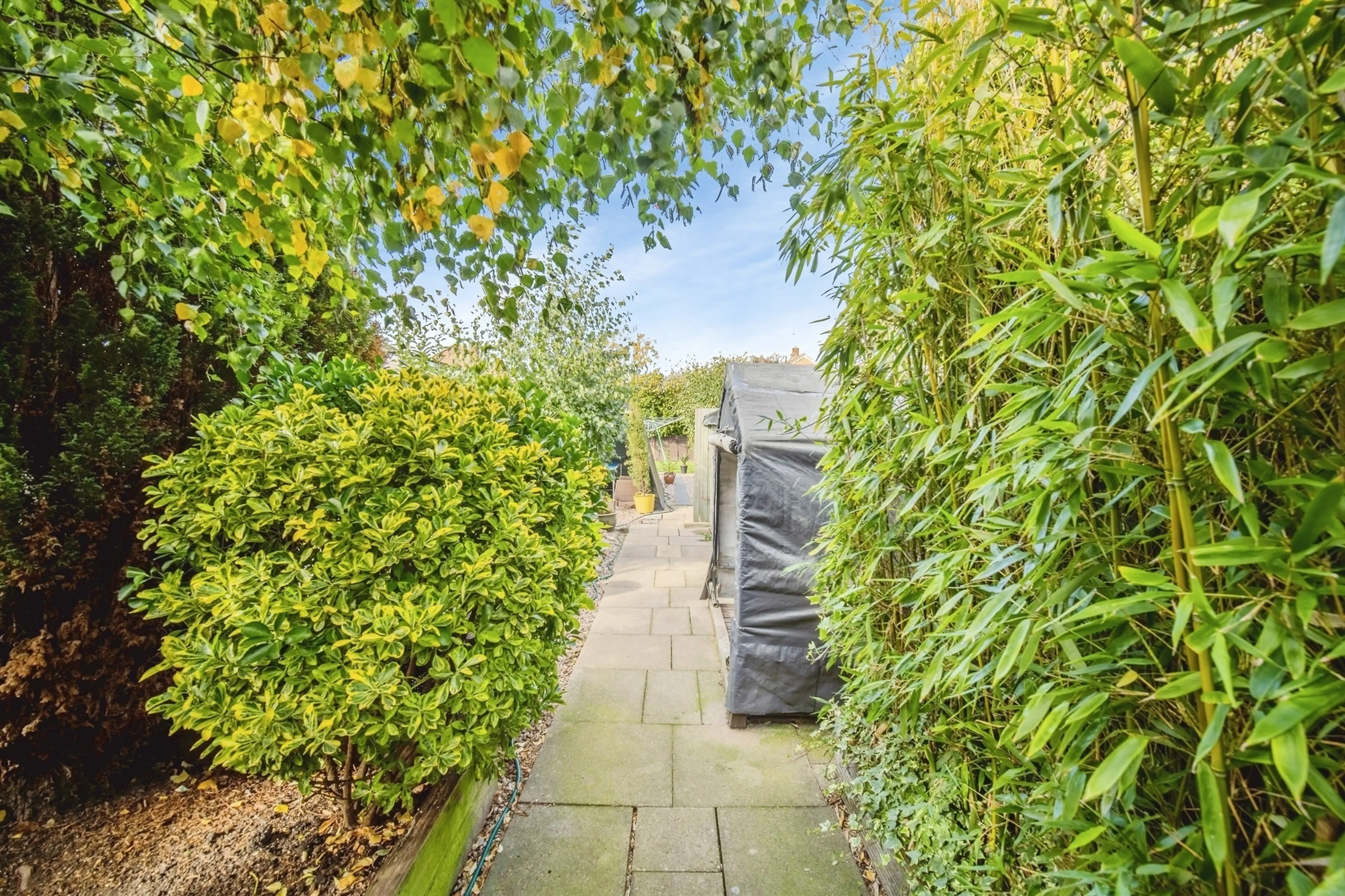 Property photo 13