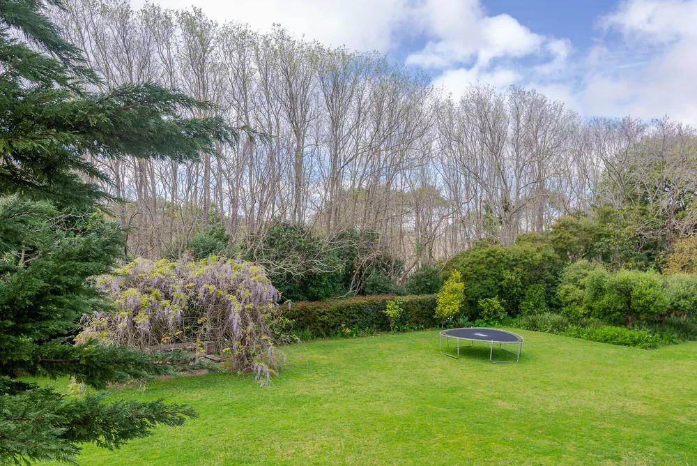 South Africa, Western Cape, Constantia