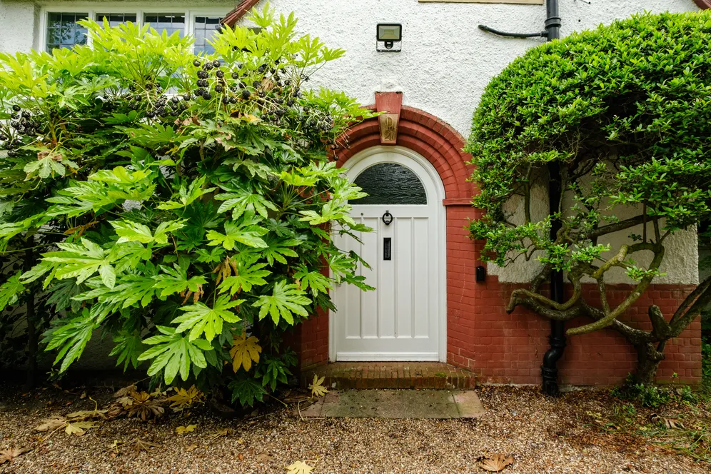 Lauradale Road, London, N2 photo 11