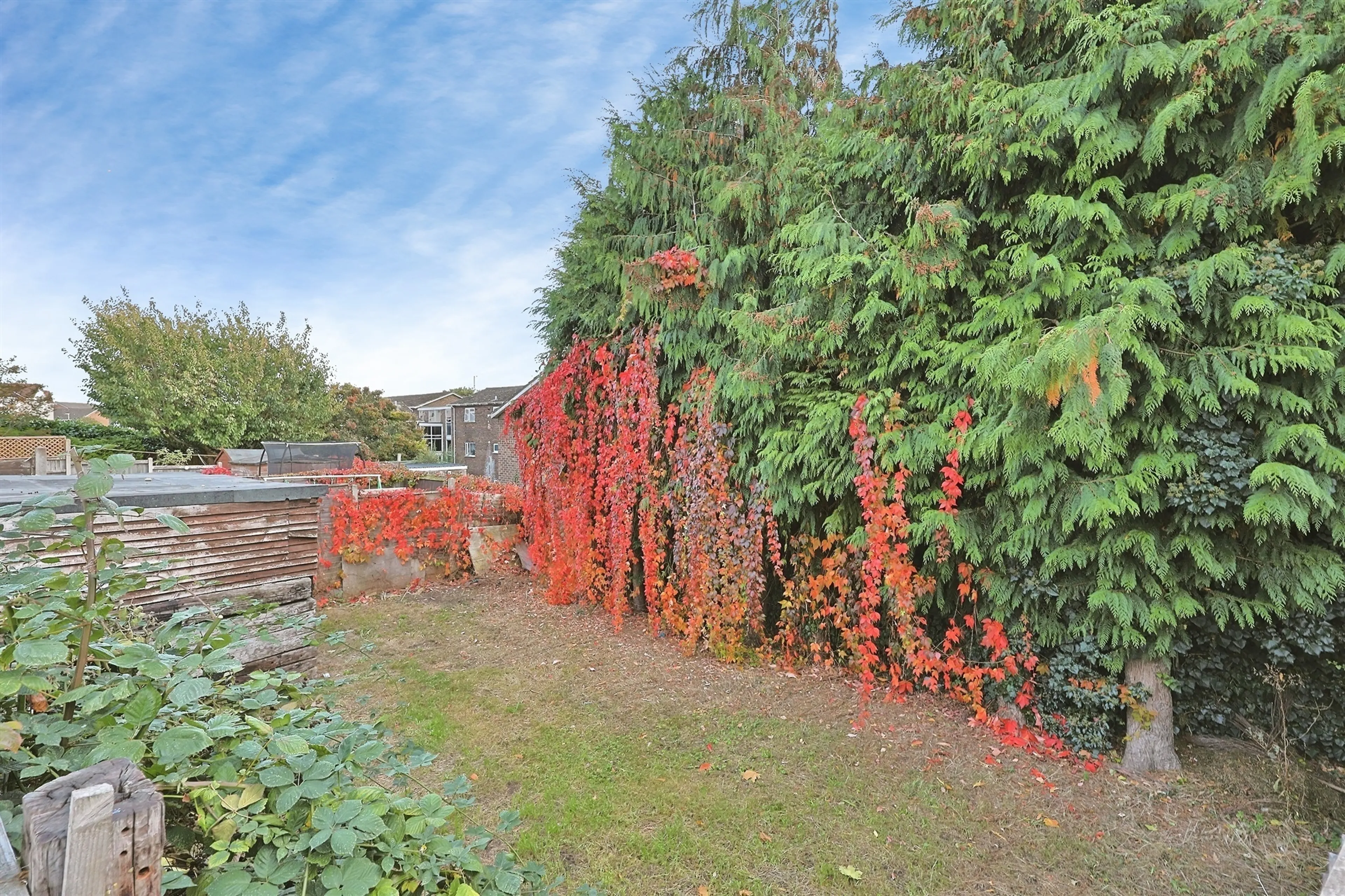 Property at Birkbeck Road, Norwich
