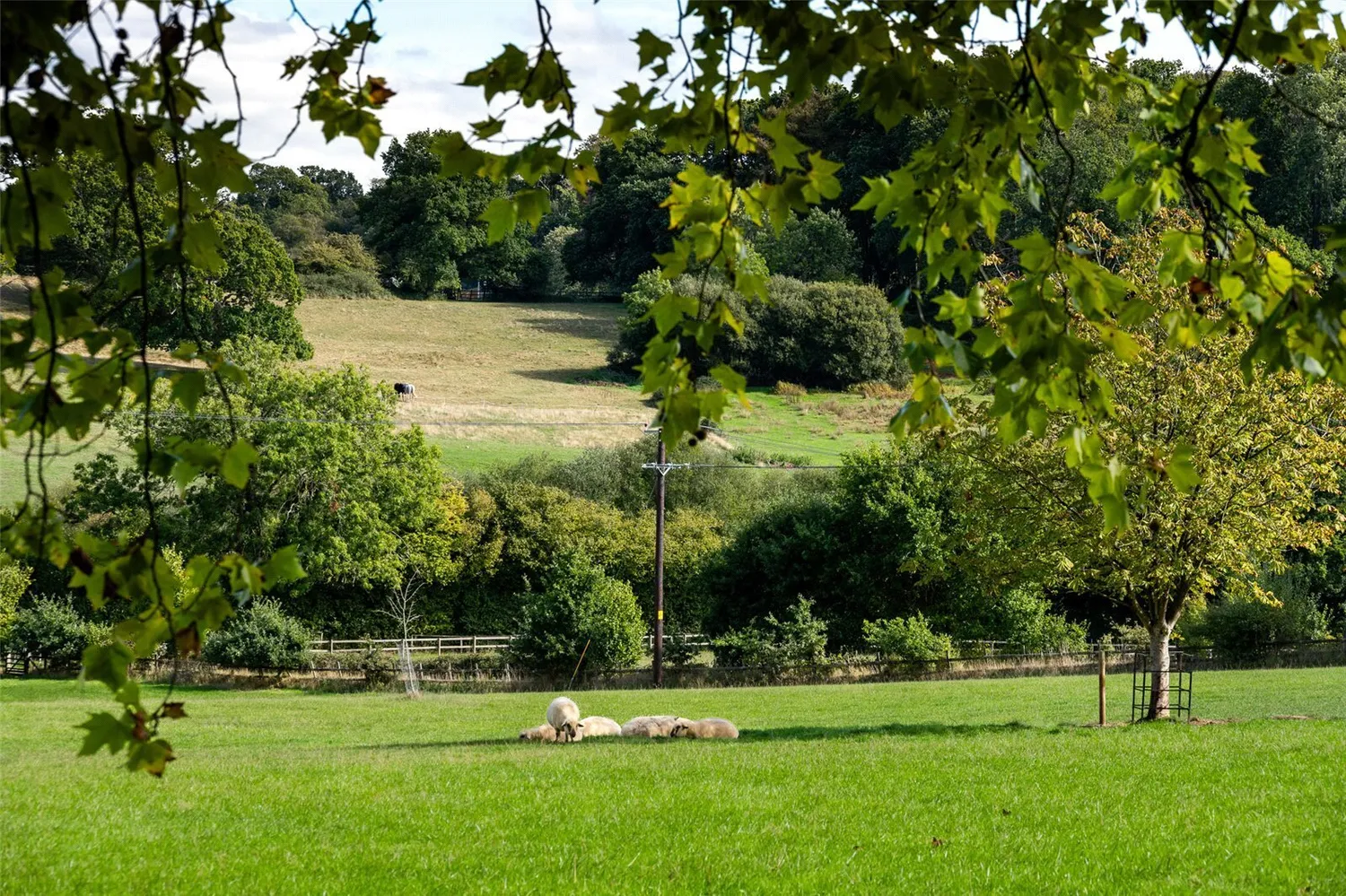 Brickyard Lane, Corfe Mullen, BH21 photo 3