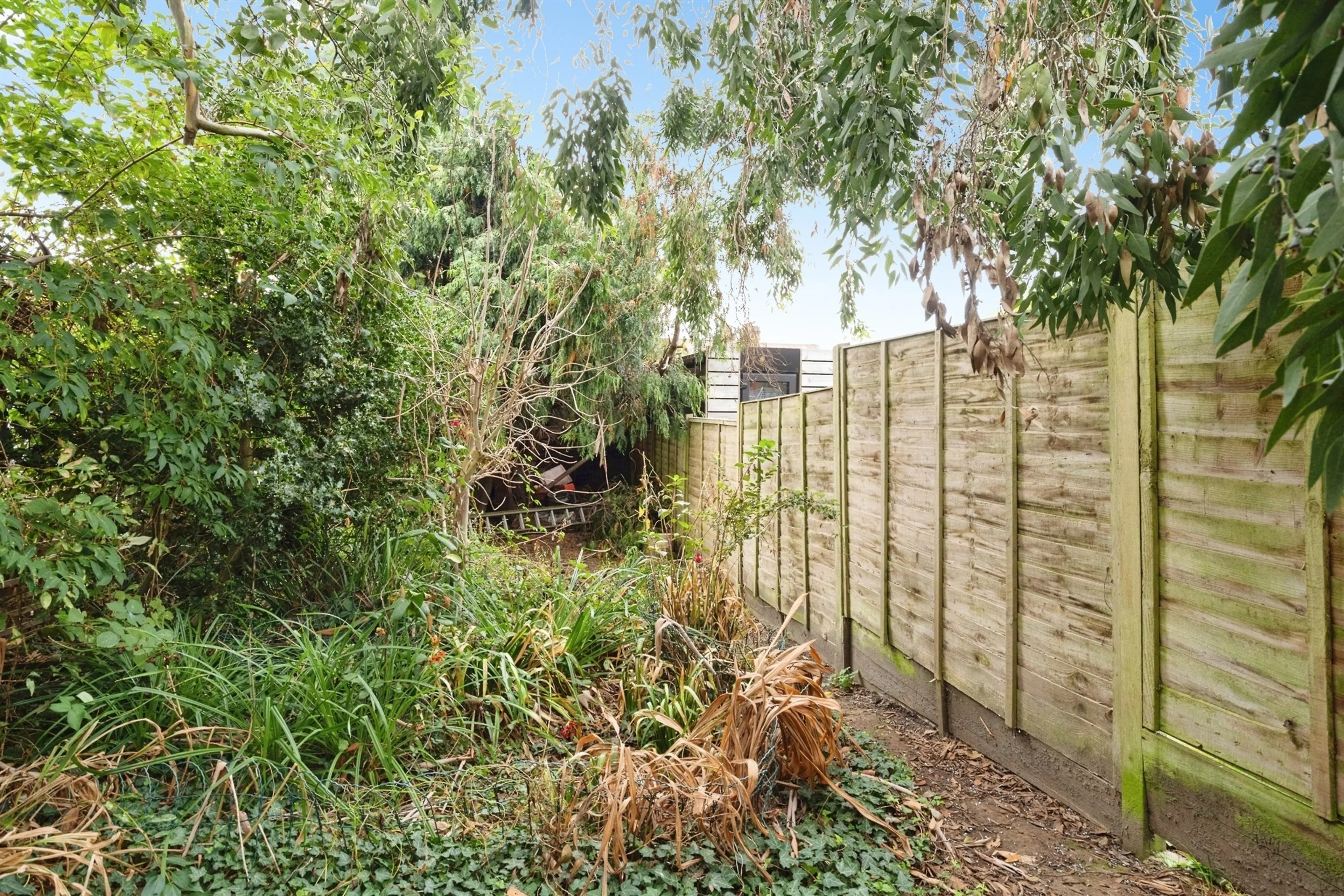Property photo 12