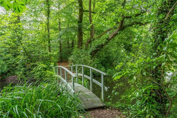 Half Acre Lane, Cheshire, WA4 photo 32