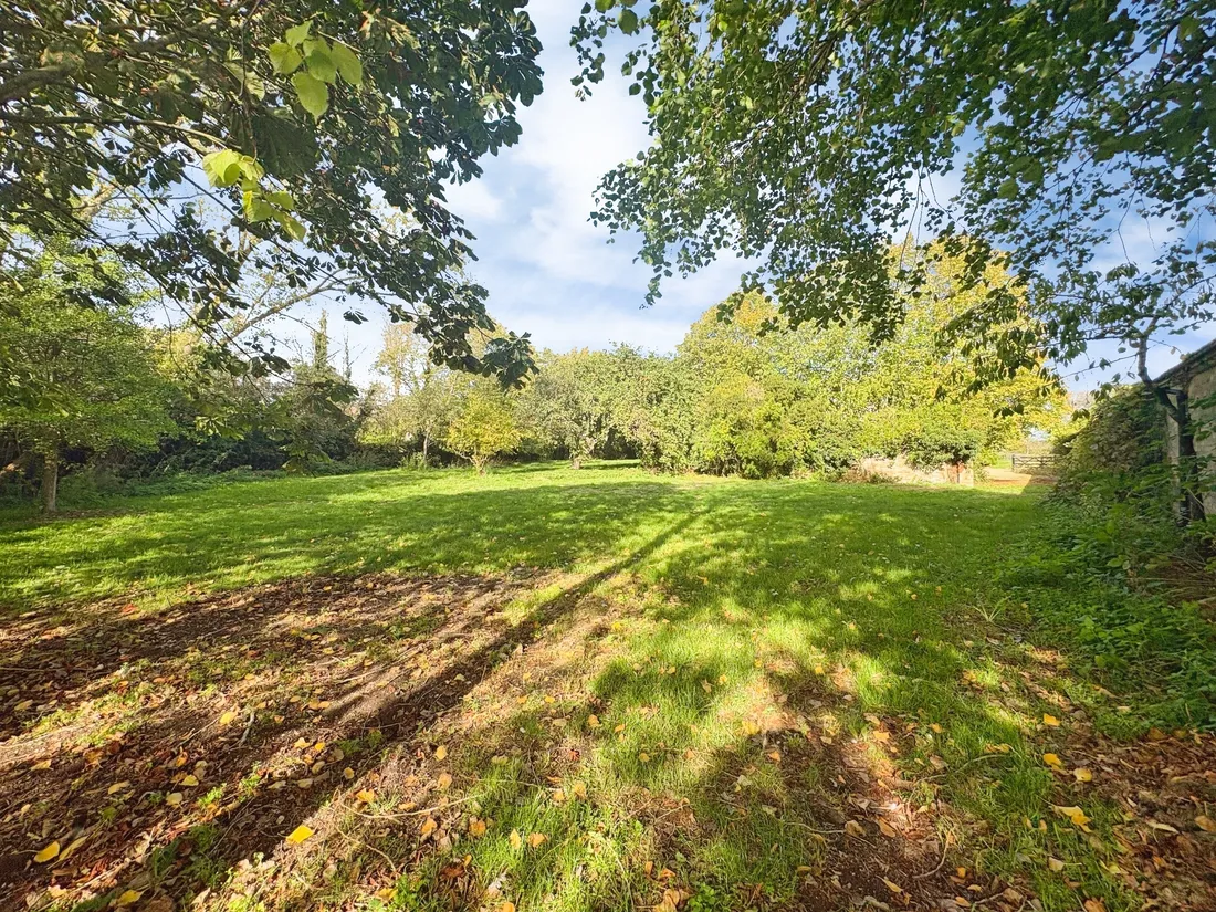 Property photo 14