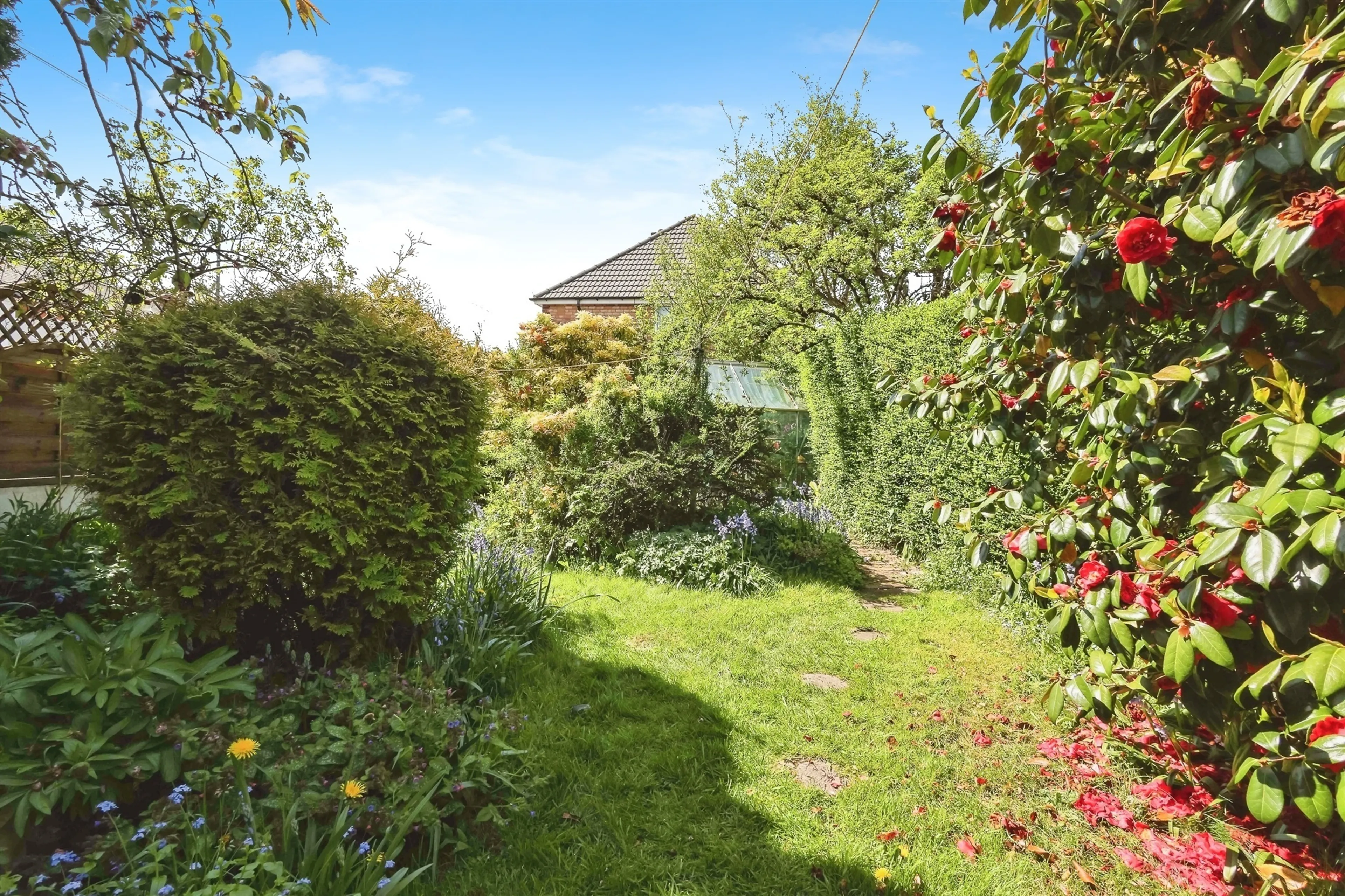 Property photo 13