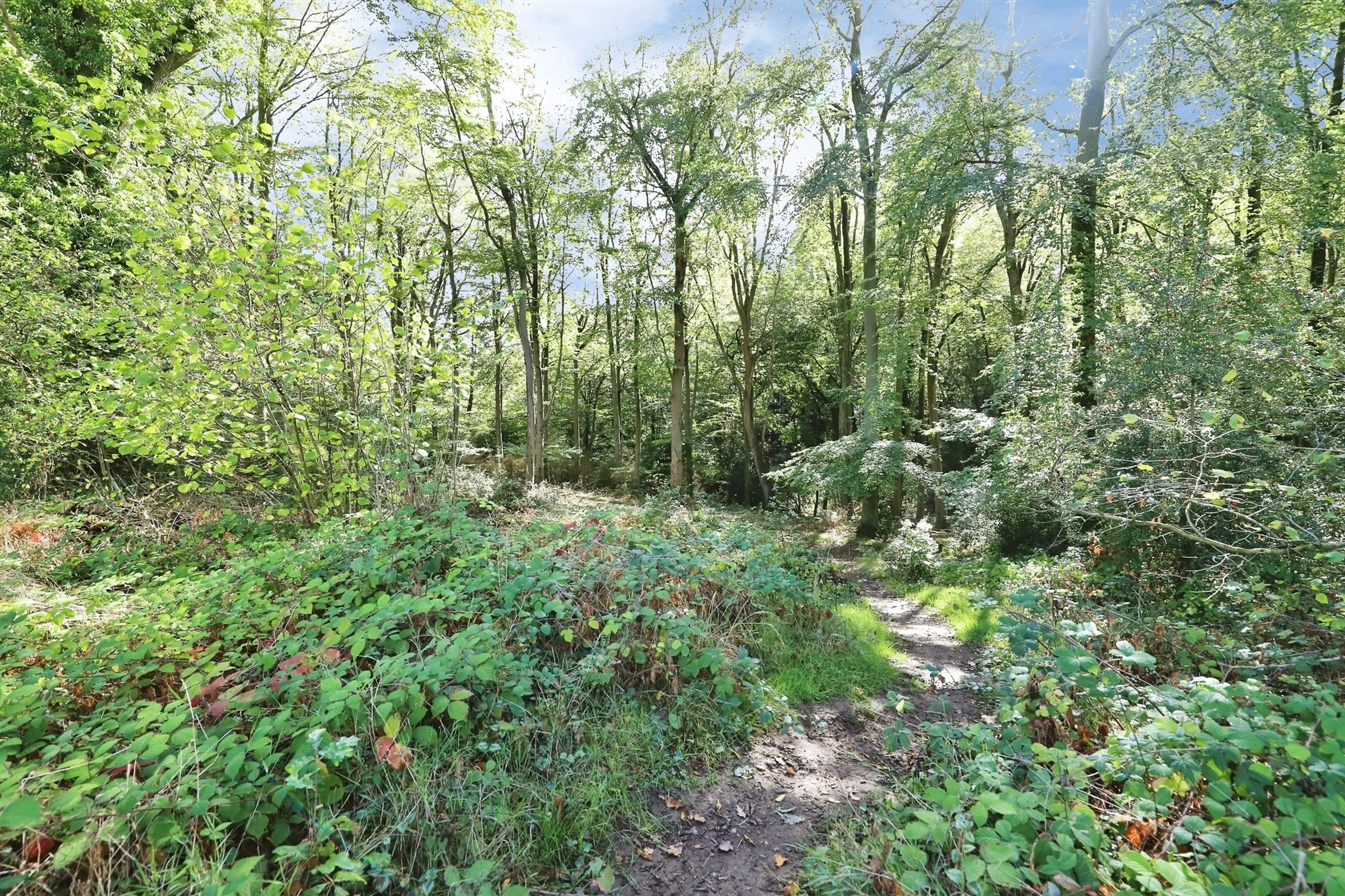 Property photo 35
