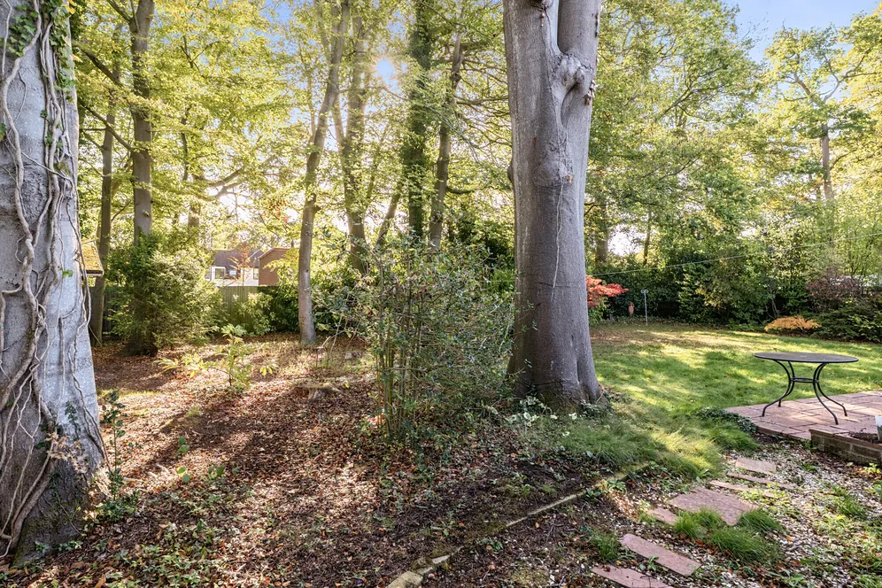 Grovewood Close, Chorleywood, WD3 photo 12