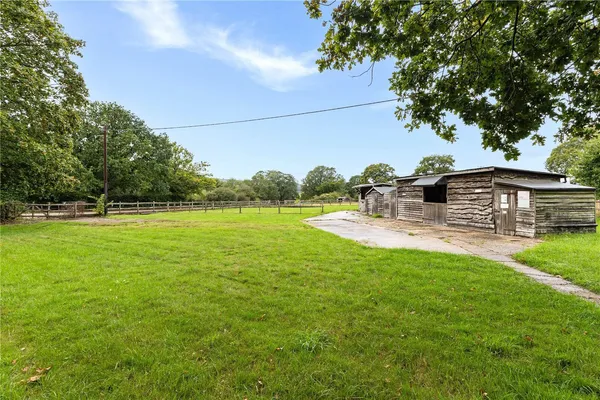 Bepton, Midhurst, GU29 photo 13