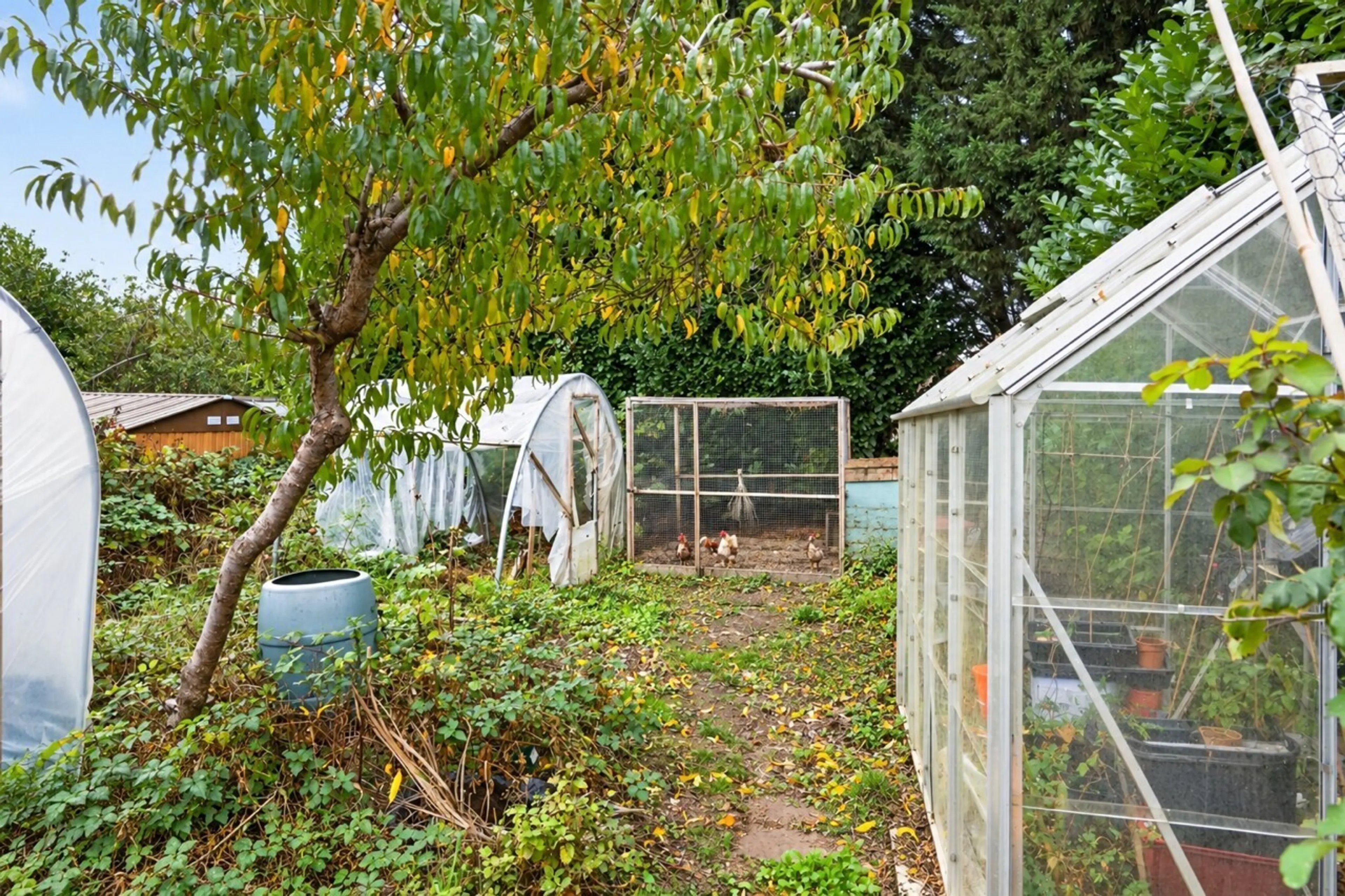 Property photo 16