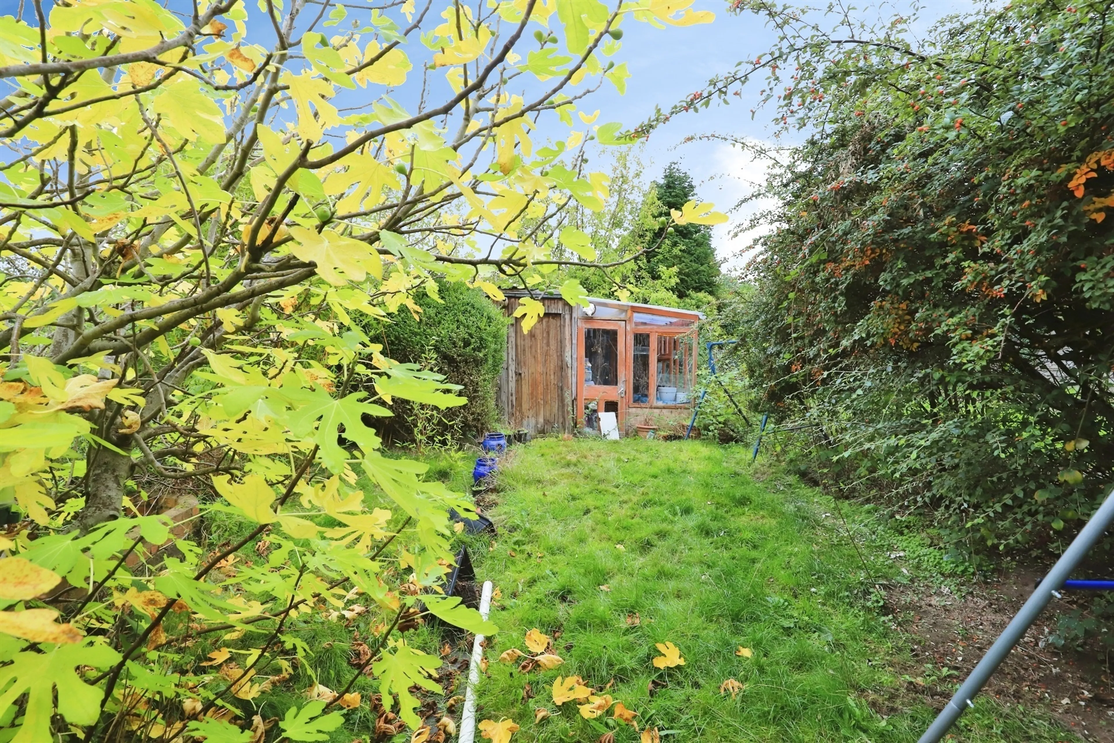 Property photo 12