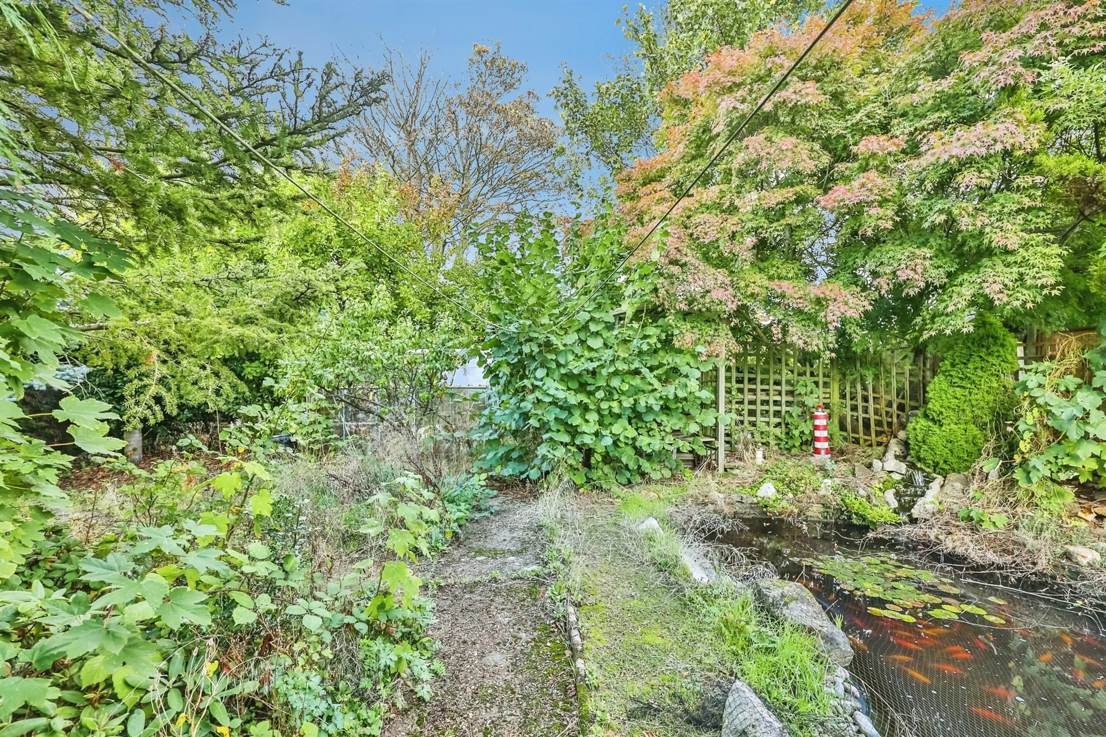 Property photo 15