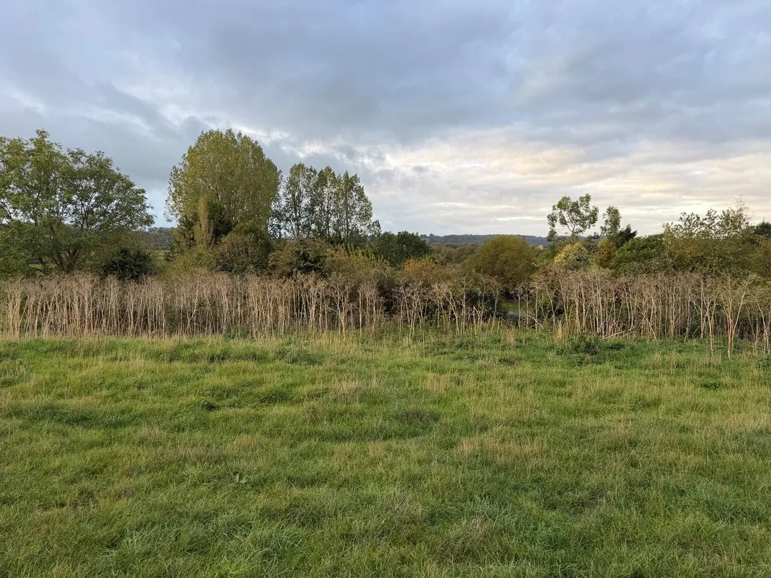 https://mr0.homeflow-assets.co.uk/files/photo/image/48637/6764/_x_/60099951.jpg