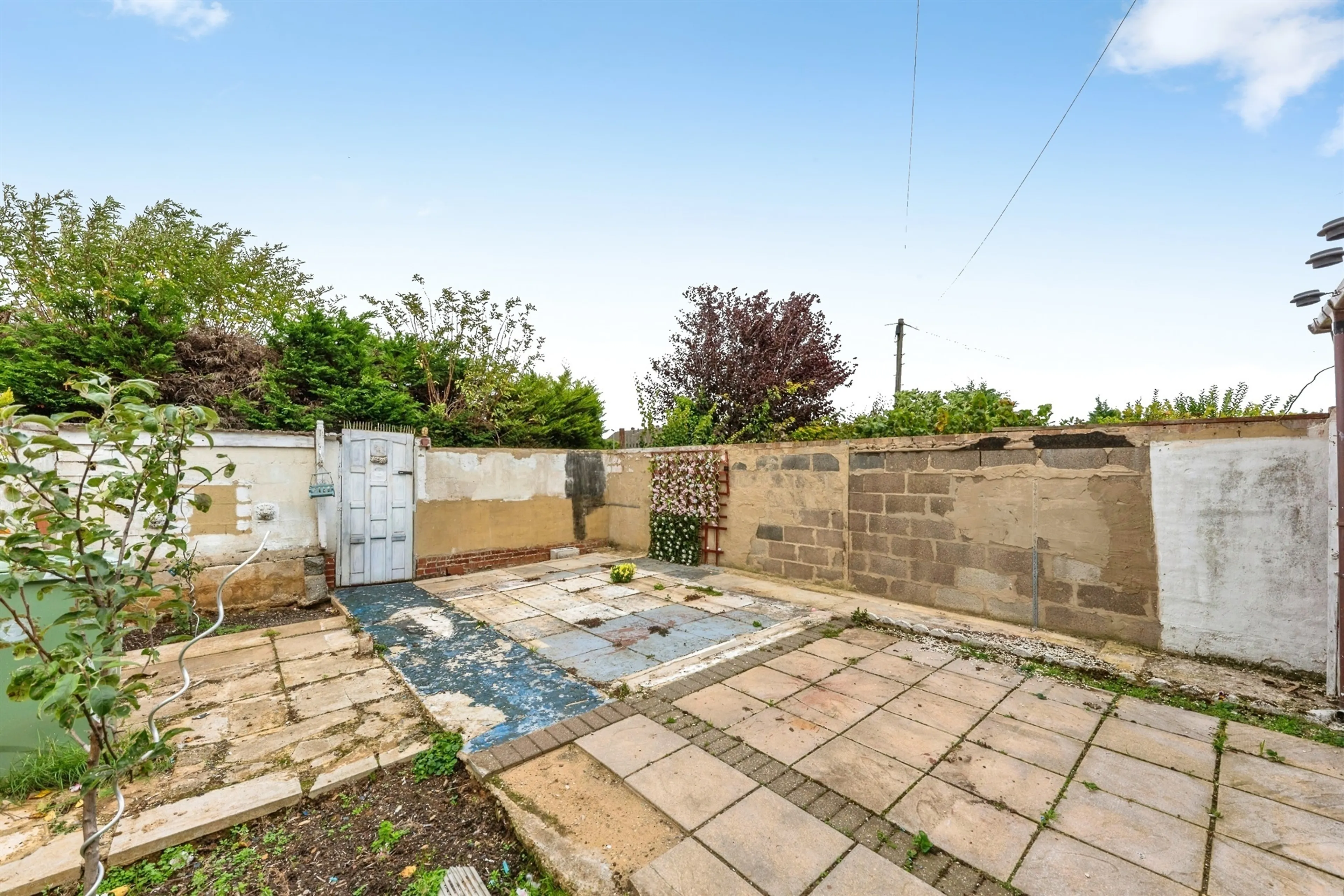 Property photo 24