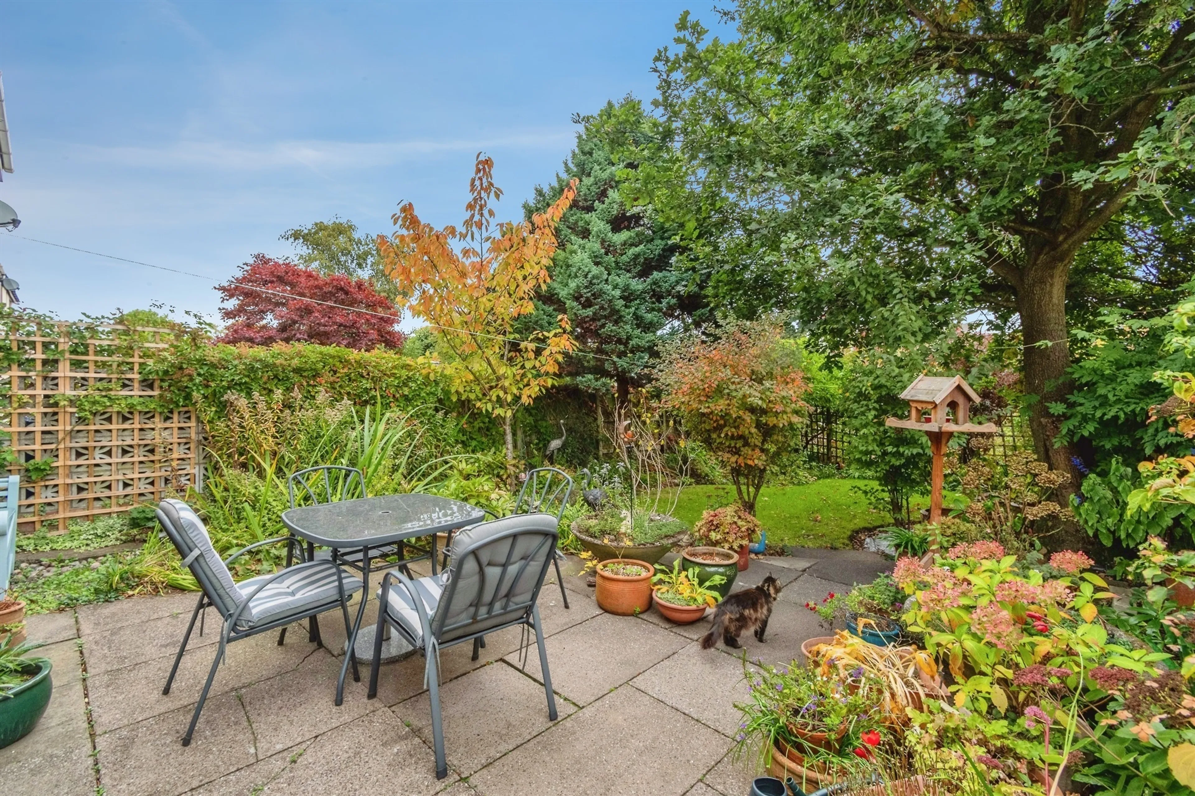 Property photo 24