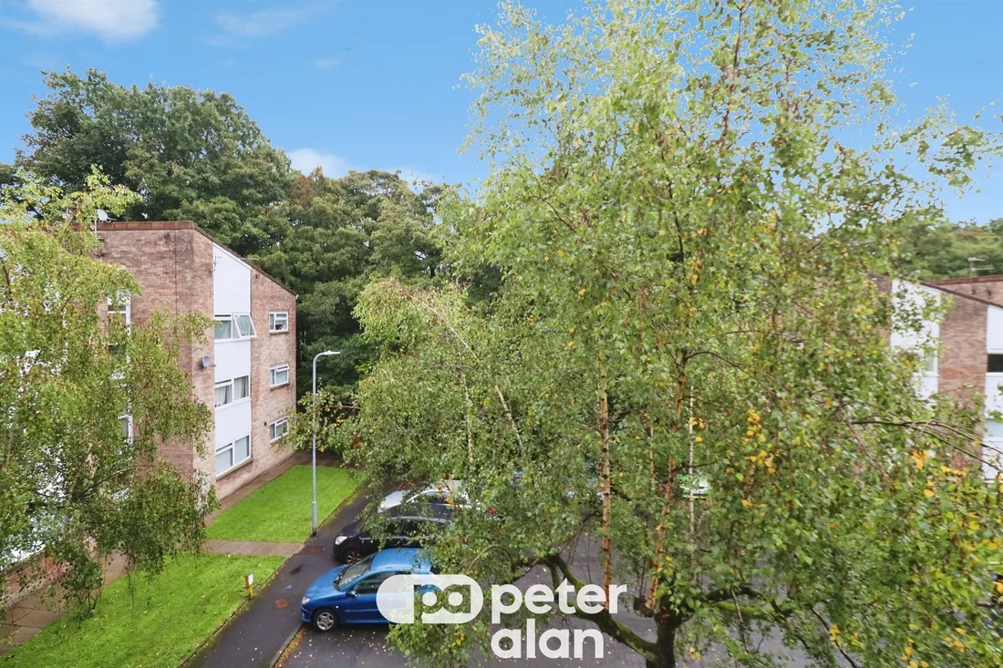 Property photo 12