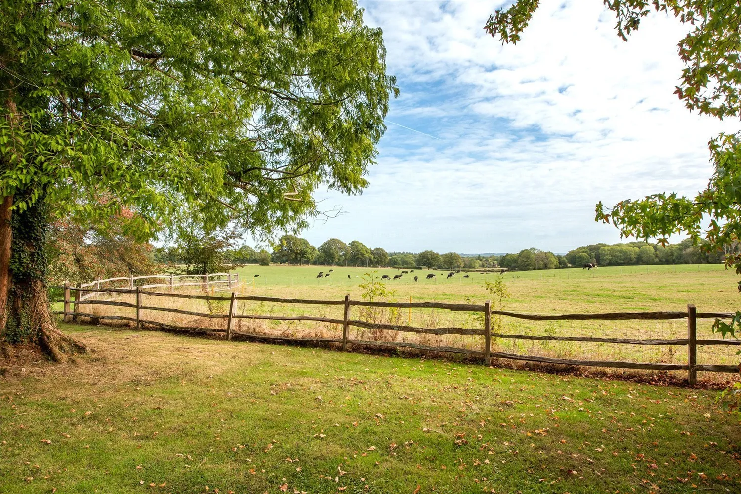 Red Lane, Dorking, RH5 photo 13