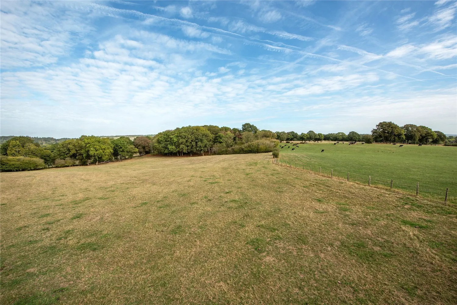 Red Lane, Dorking, RH5 photo 21