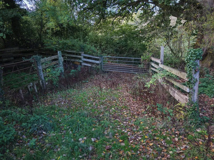 Property Image 24