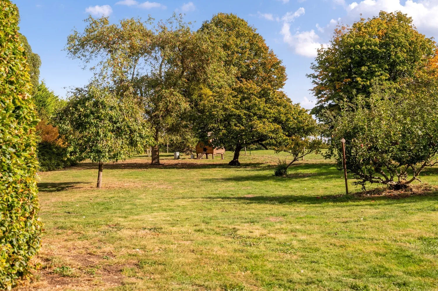 Low Street, Bardwell, IP31 photo 25