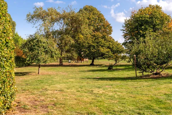 Low Street, Bardwell, IP31 photo 25