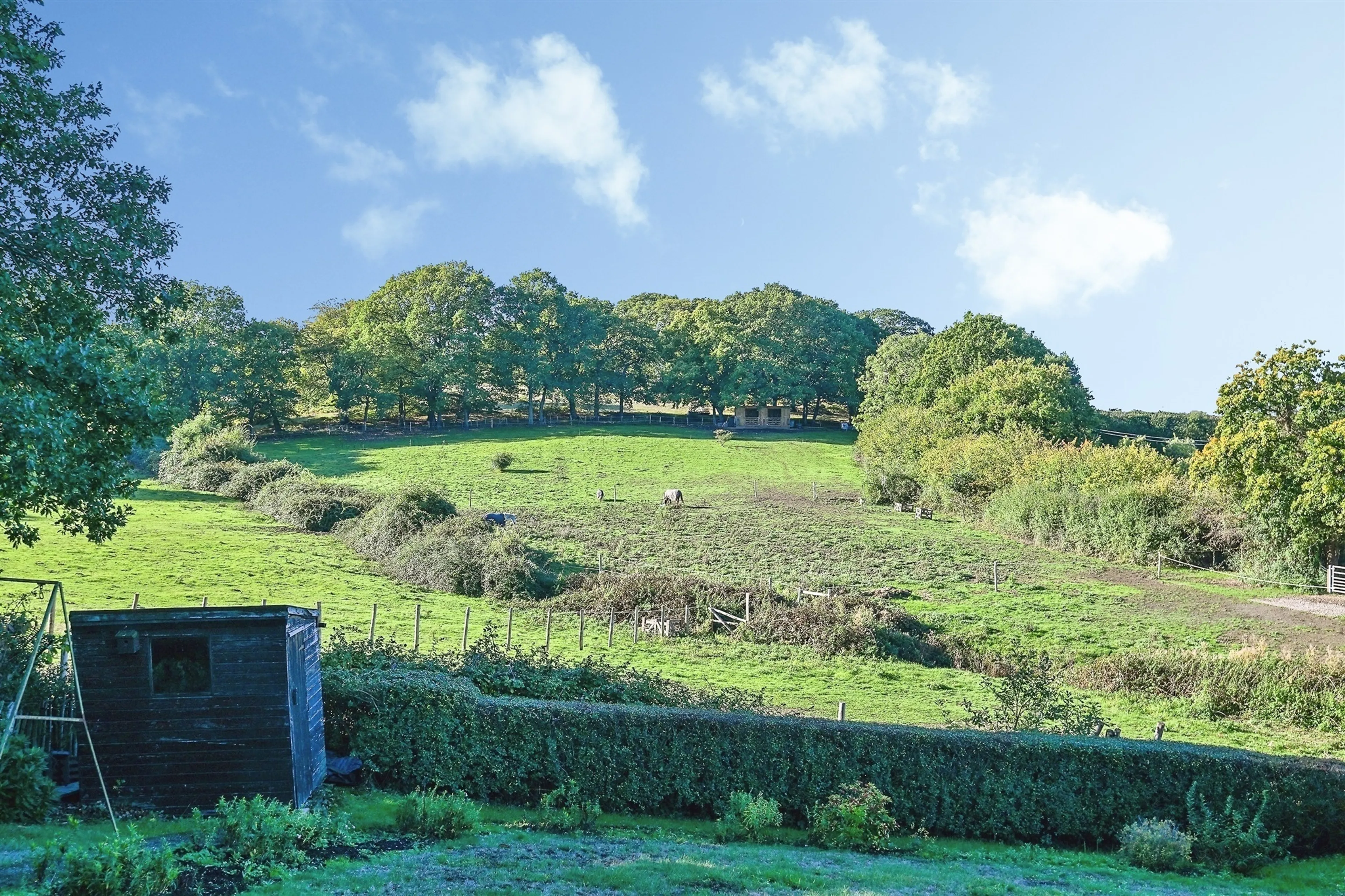 Property photo 15