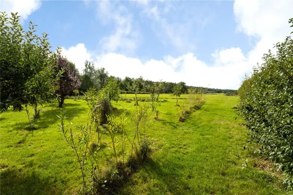 Mill Street, Iden Green, TN17 photo 19