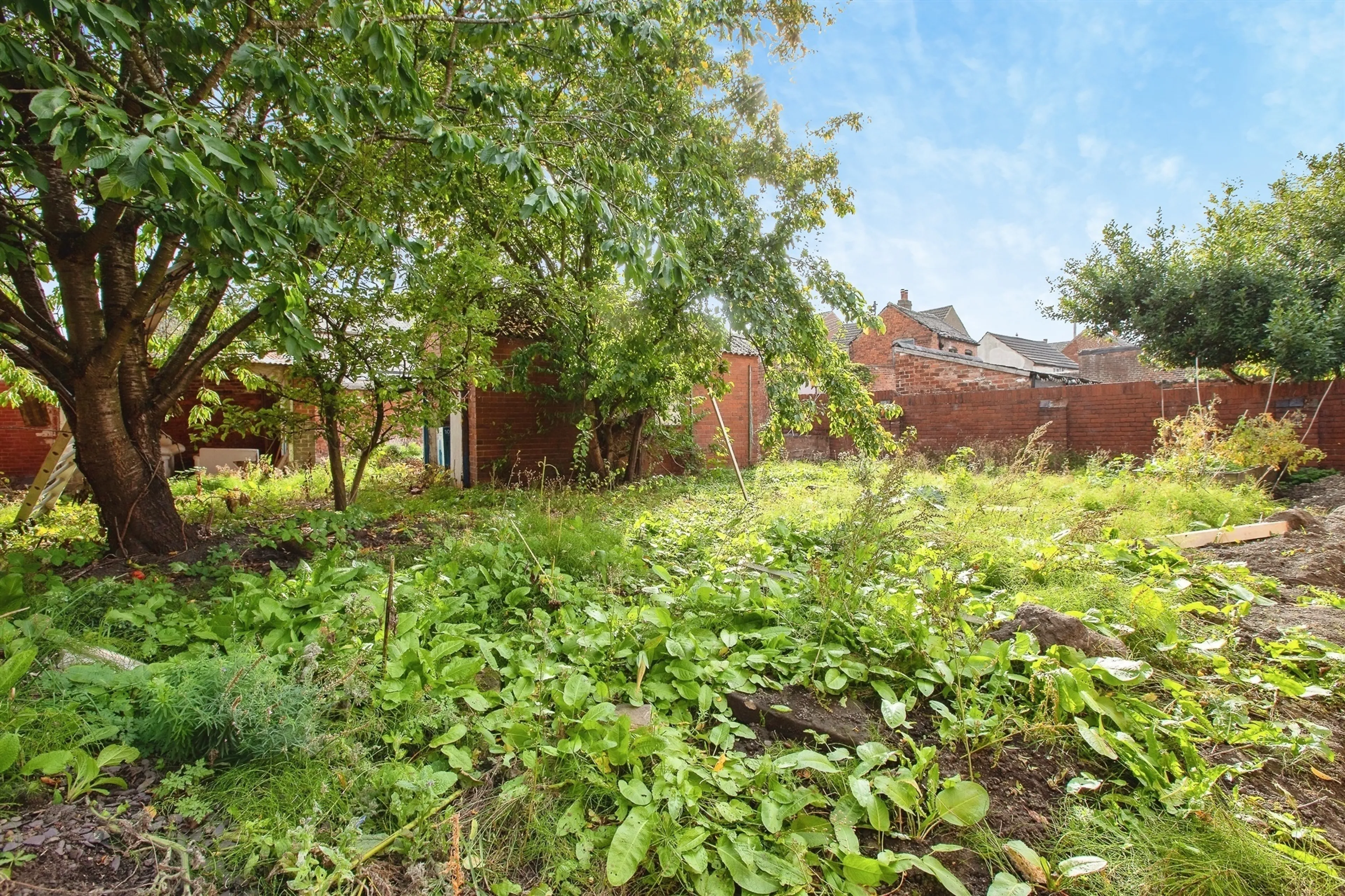 Property photo 12