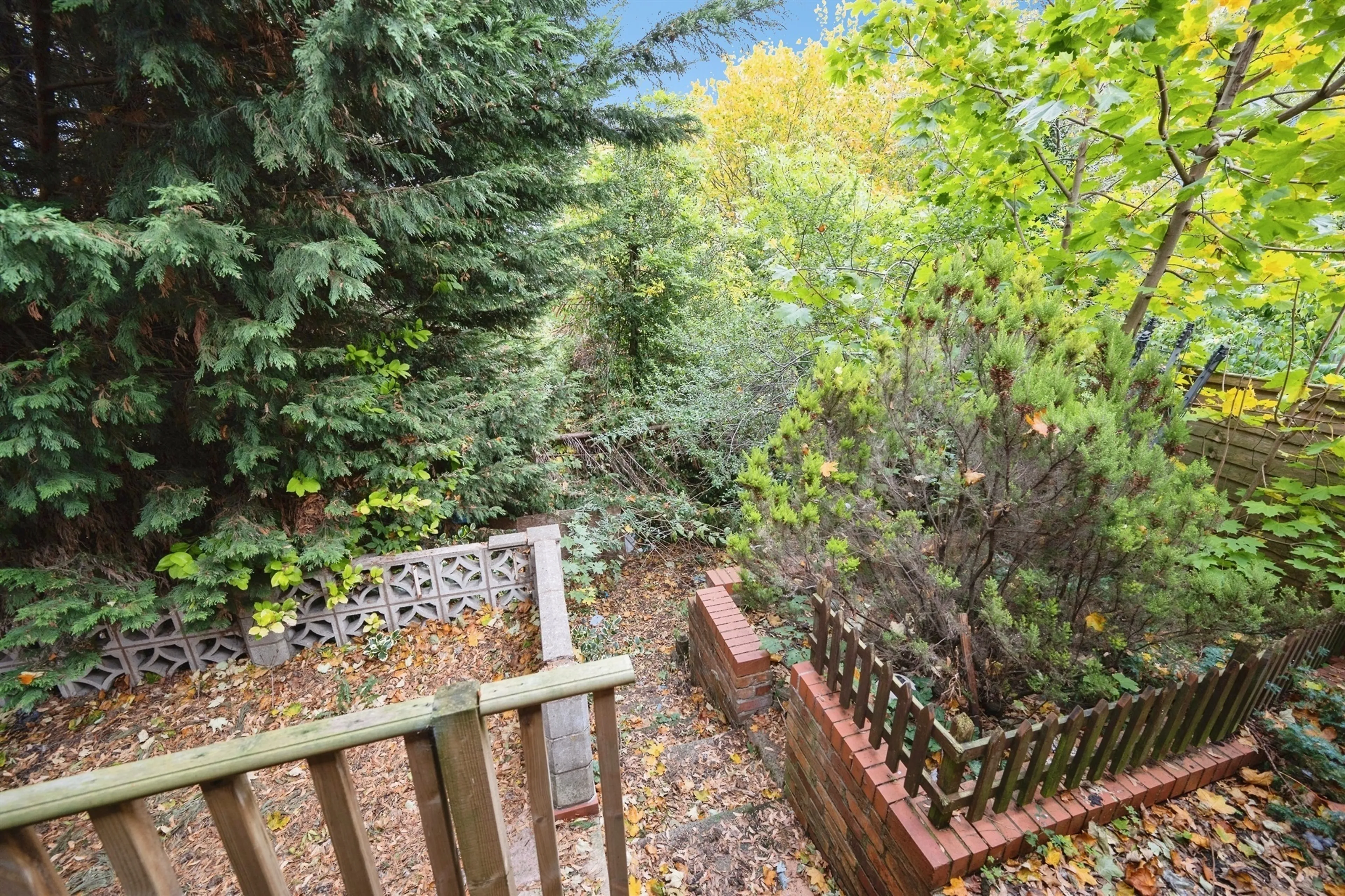 Property photo 12