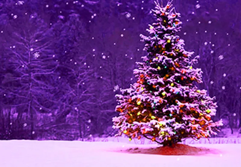 furnell residential - christmas opening times
