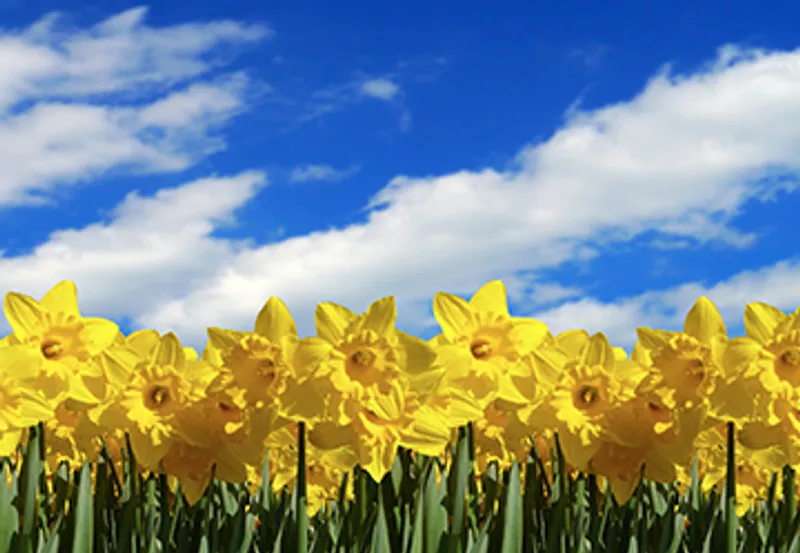 no spring boost for region's housing sector