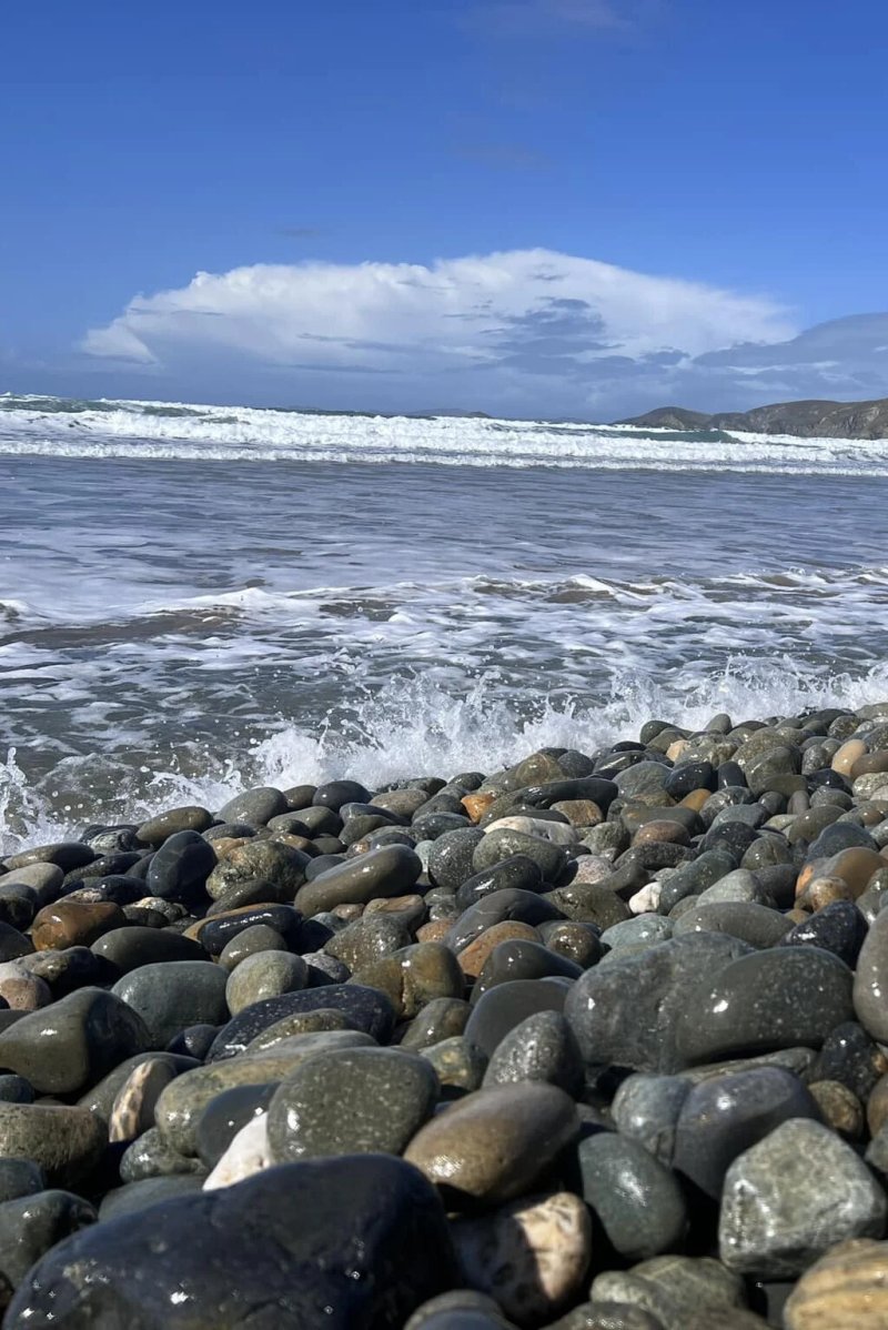 Property wanted in your local areaChris Davies Estate & Letting