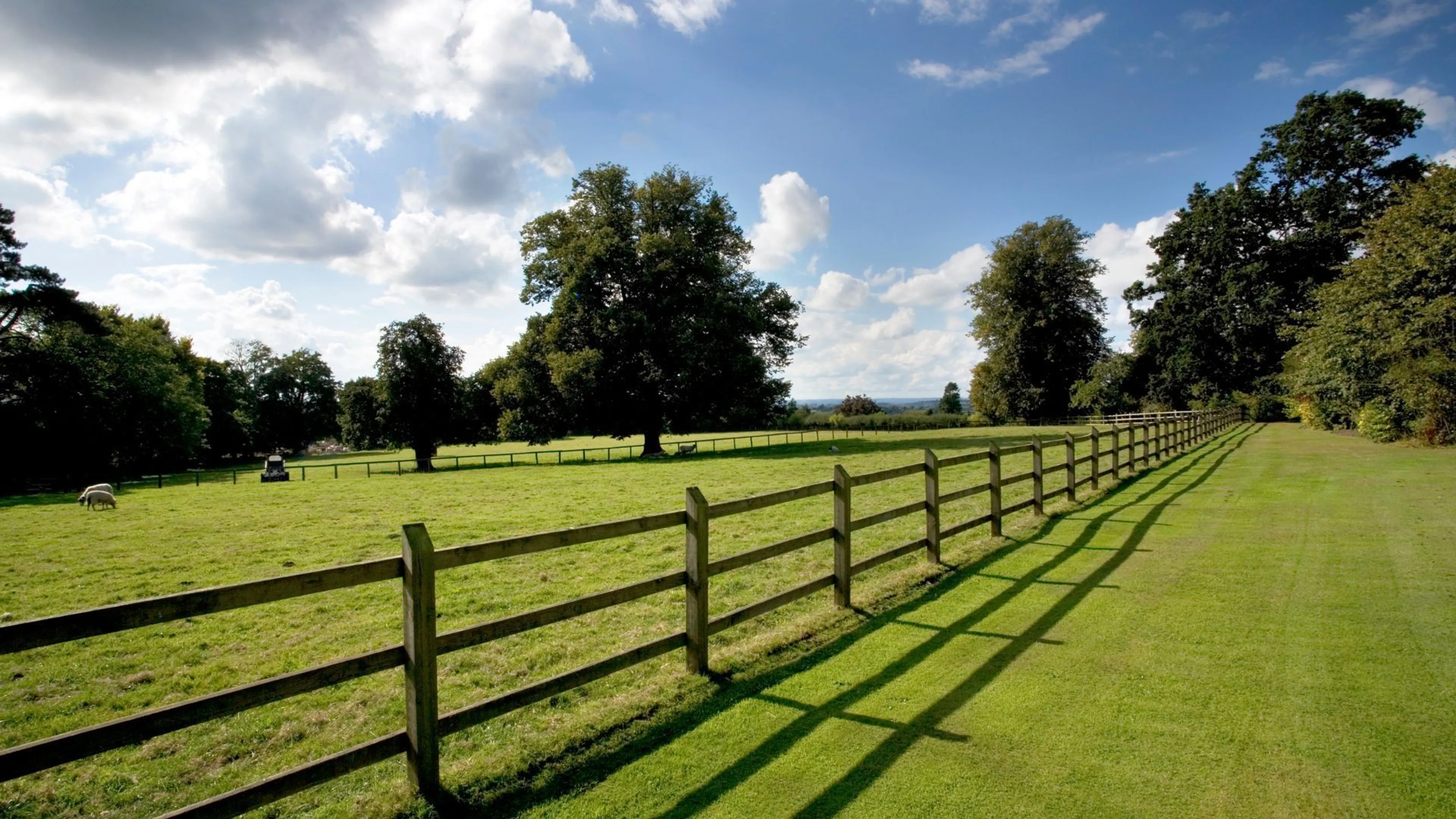 When is a field a paddock?
