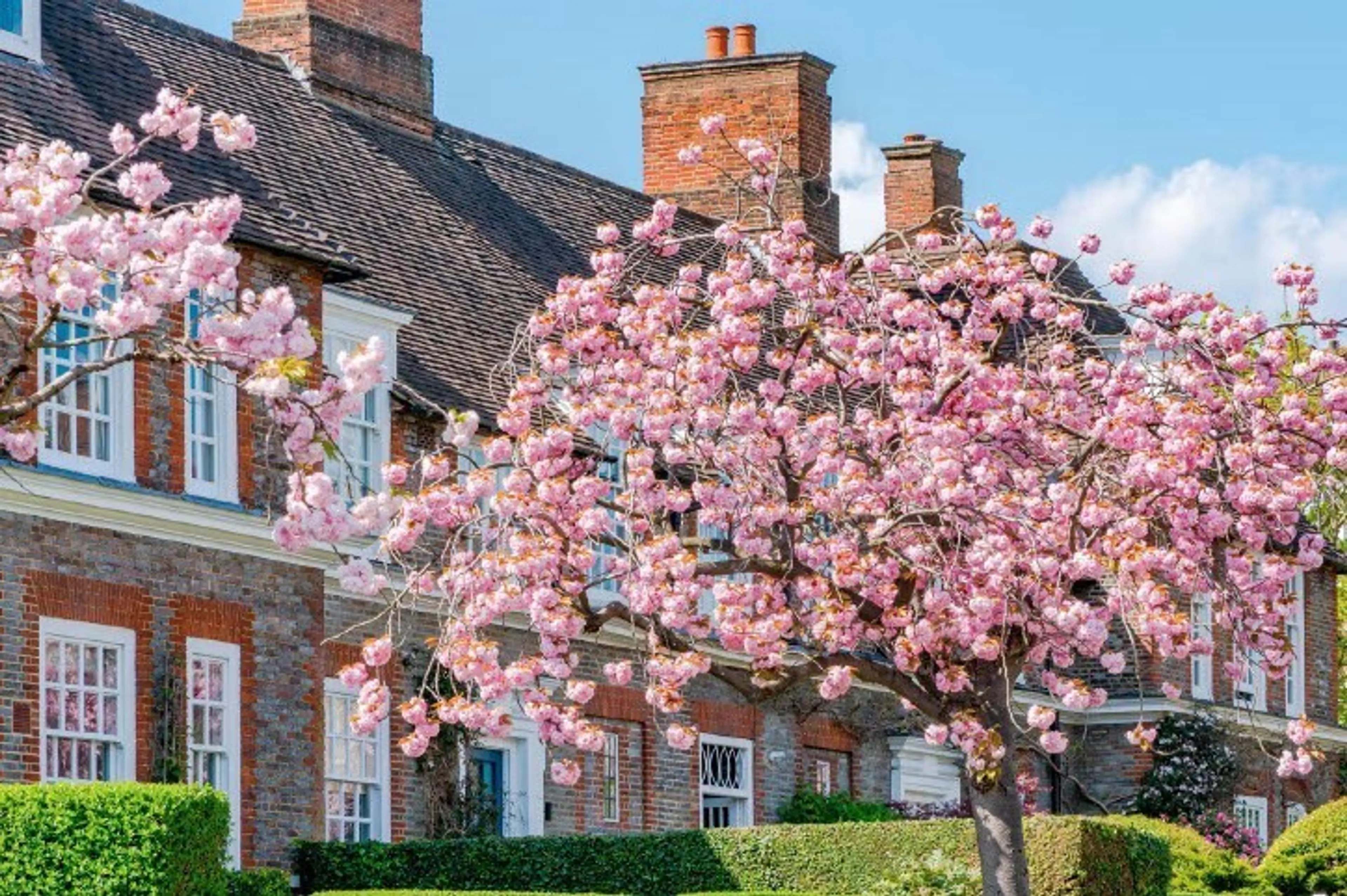 Property and Auction News February 2024