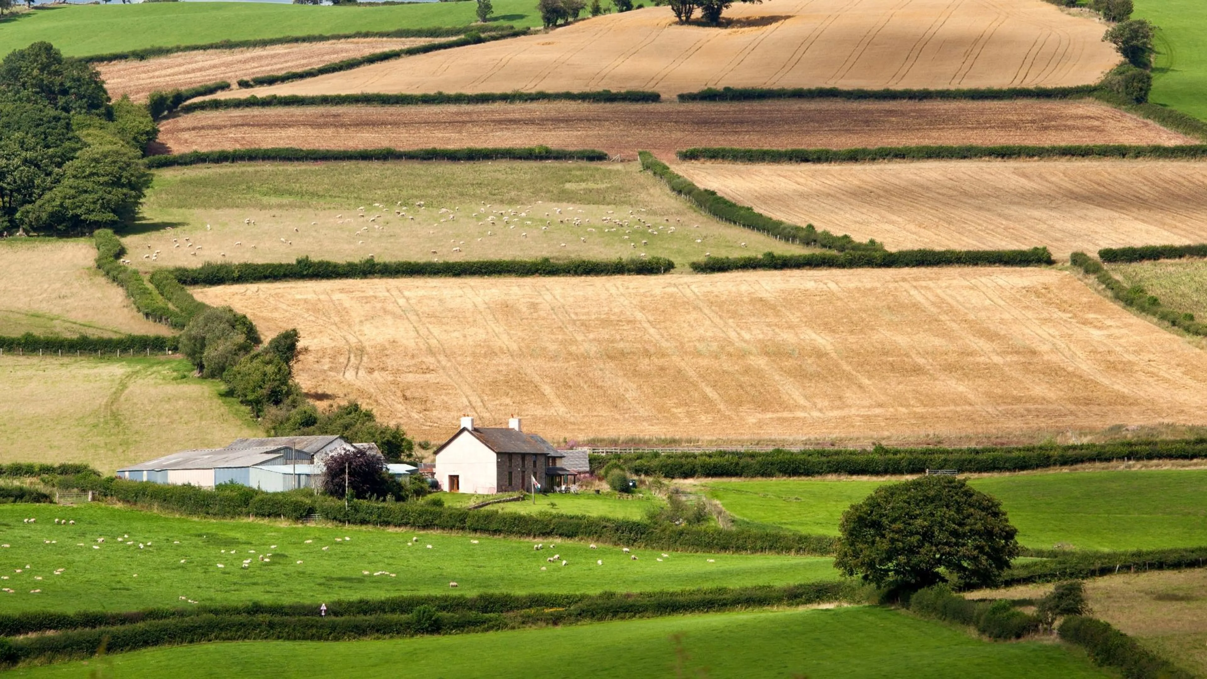 Devastating budget betrayal for Farmers?