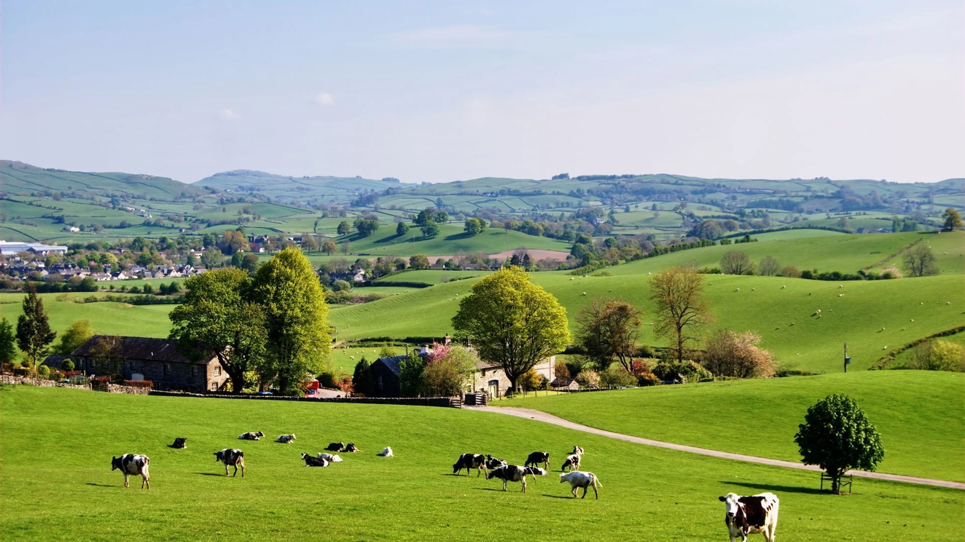 Thinking of selling? Expert market appraisal service –available year-round